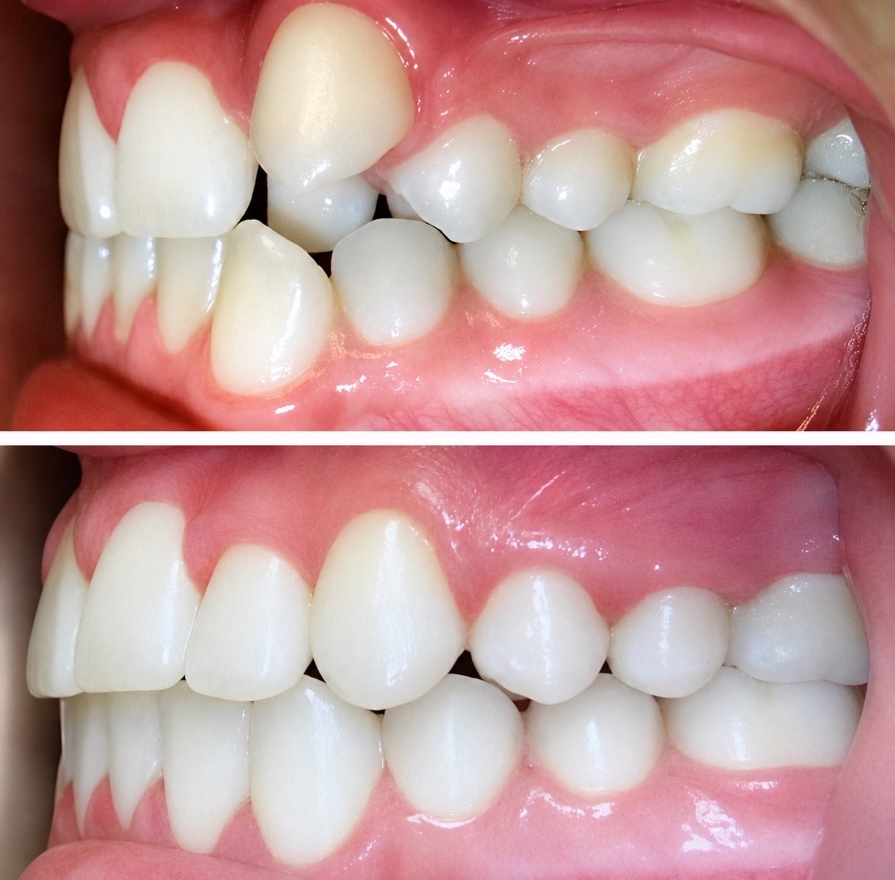 @panaorthodontics