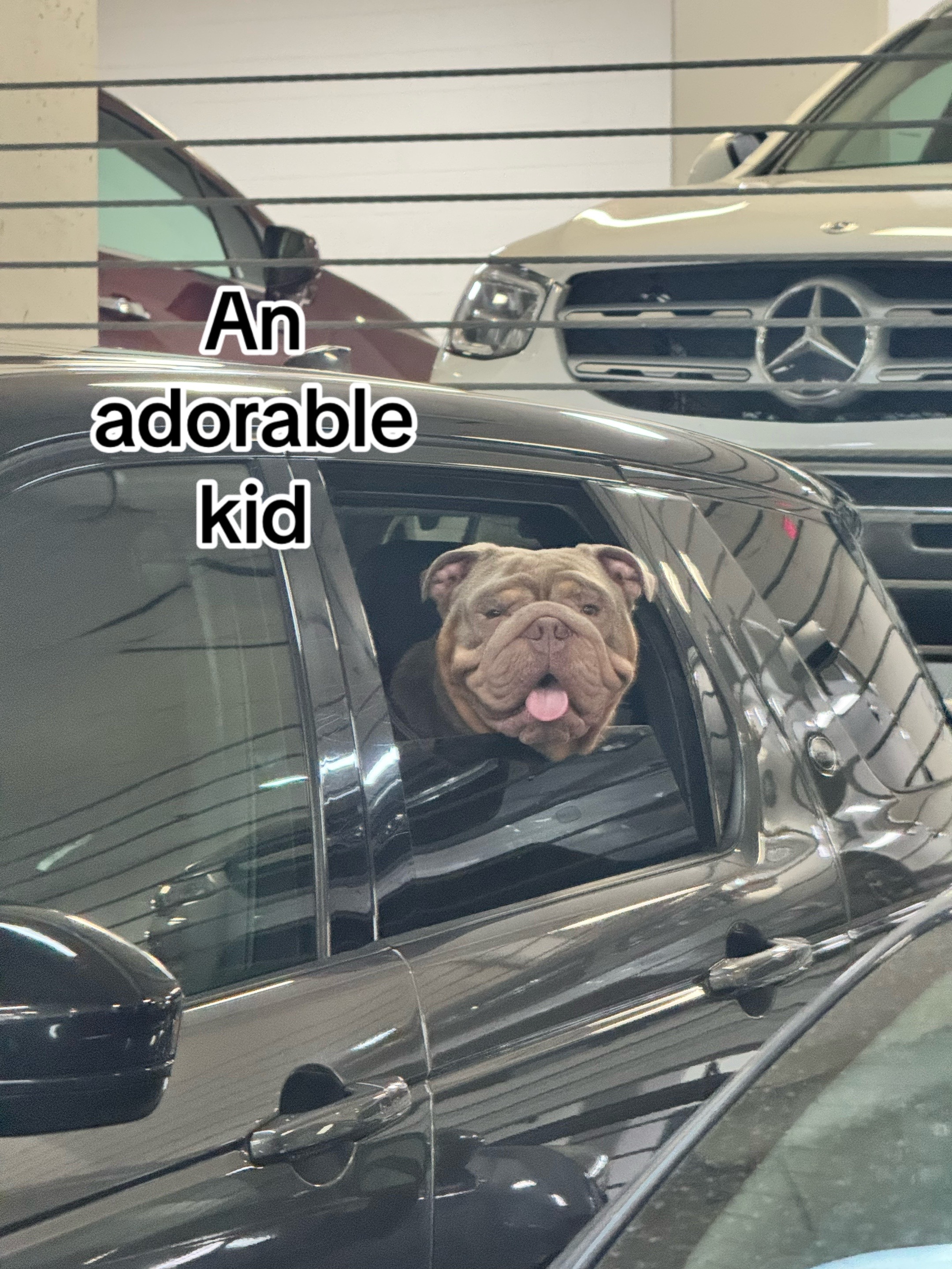 @✨J✨