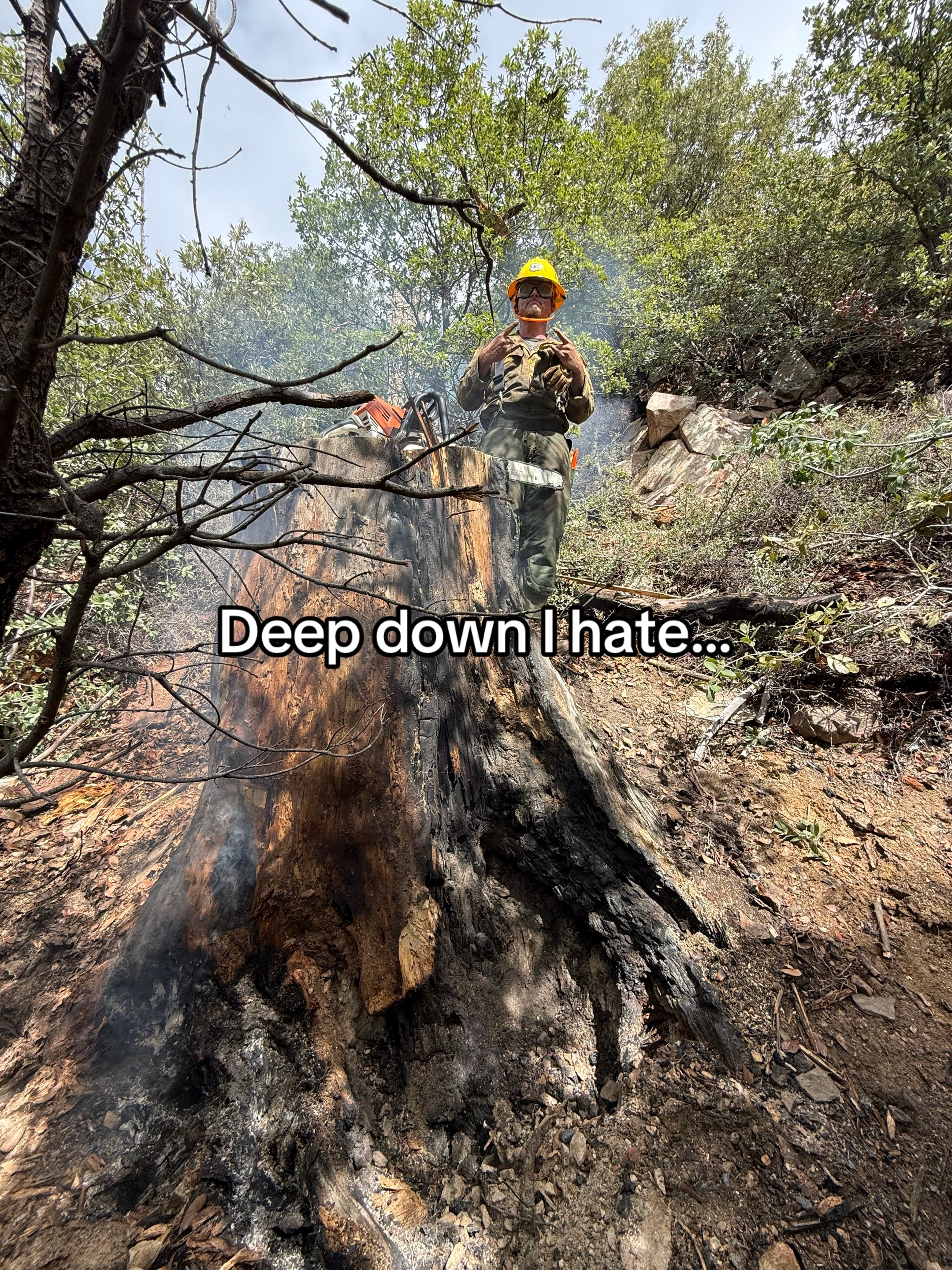 @OLE_TW_