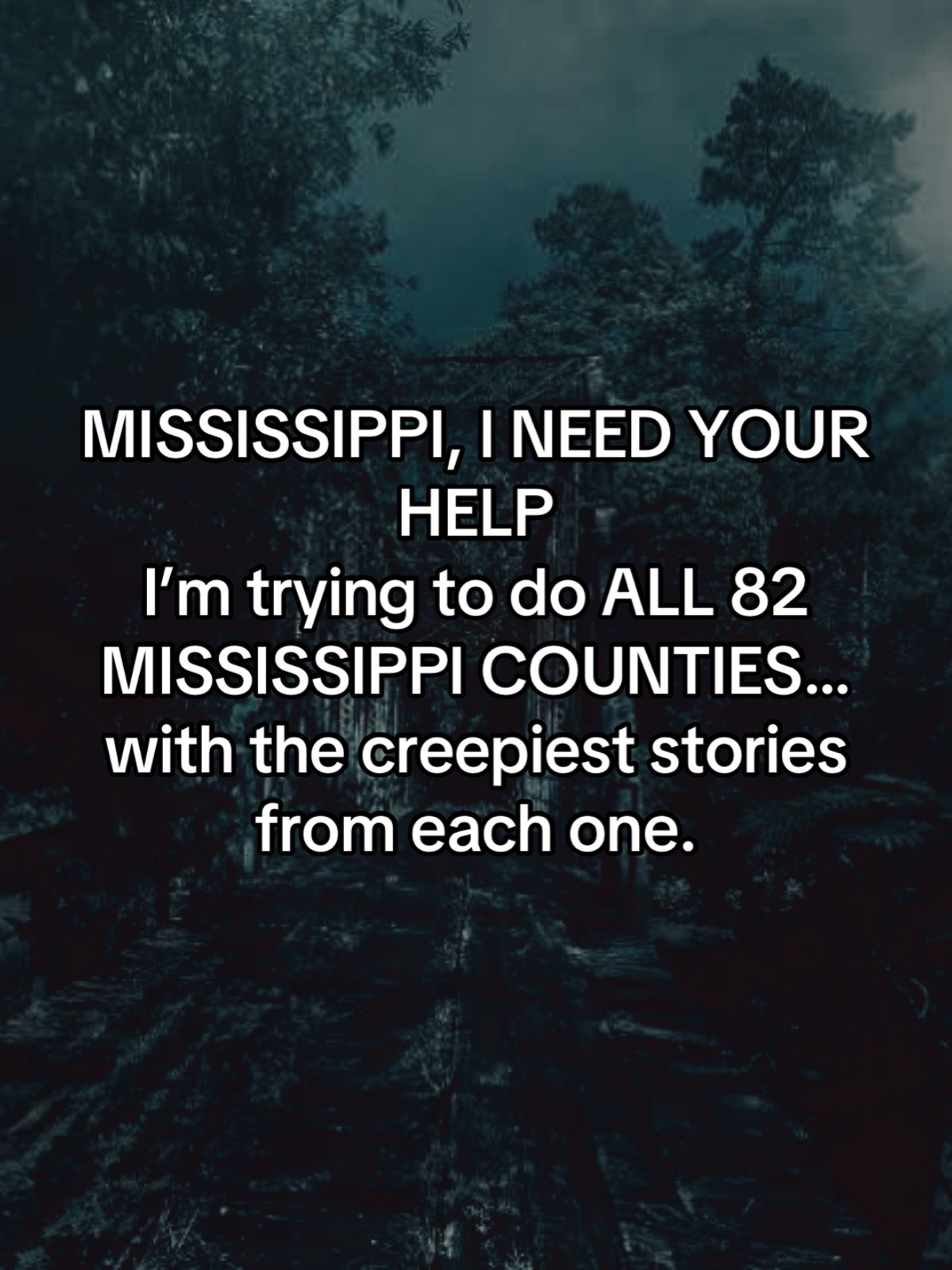 @bellesandbloodshed