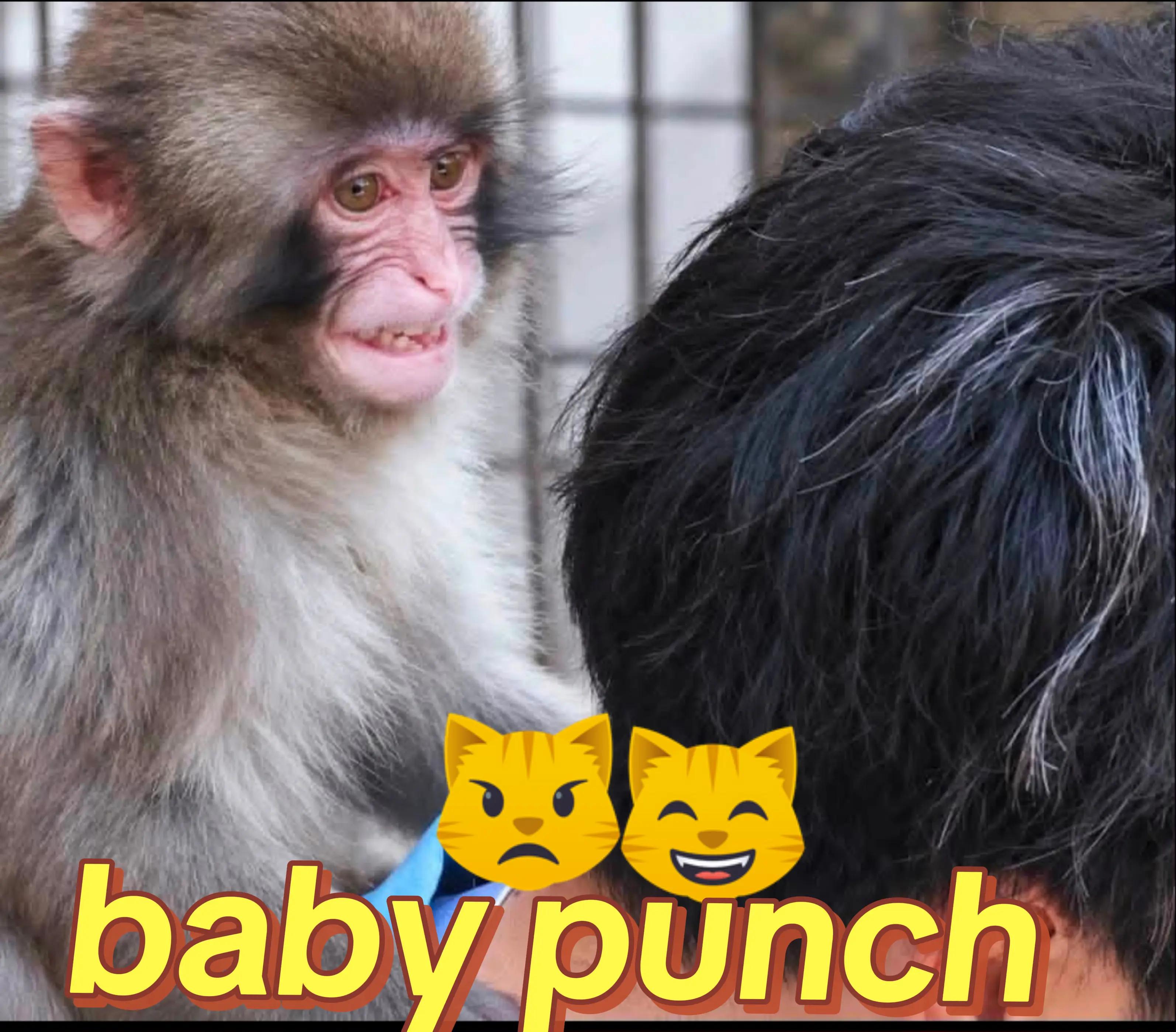 @Punch baby