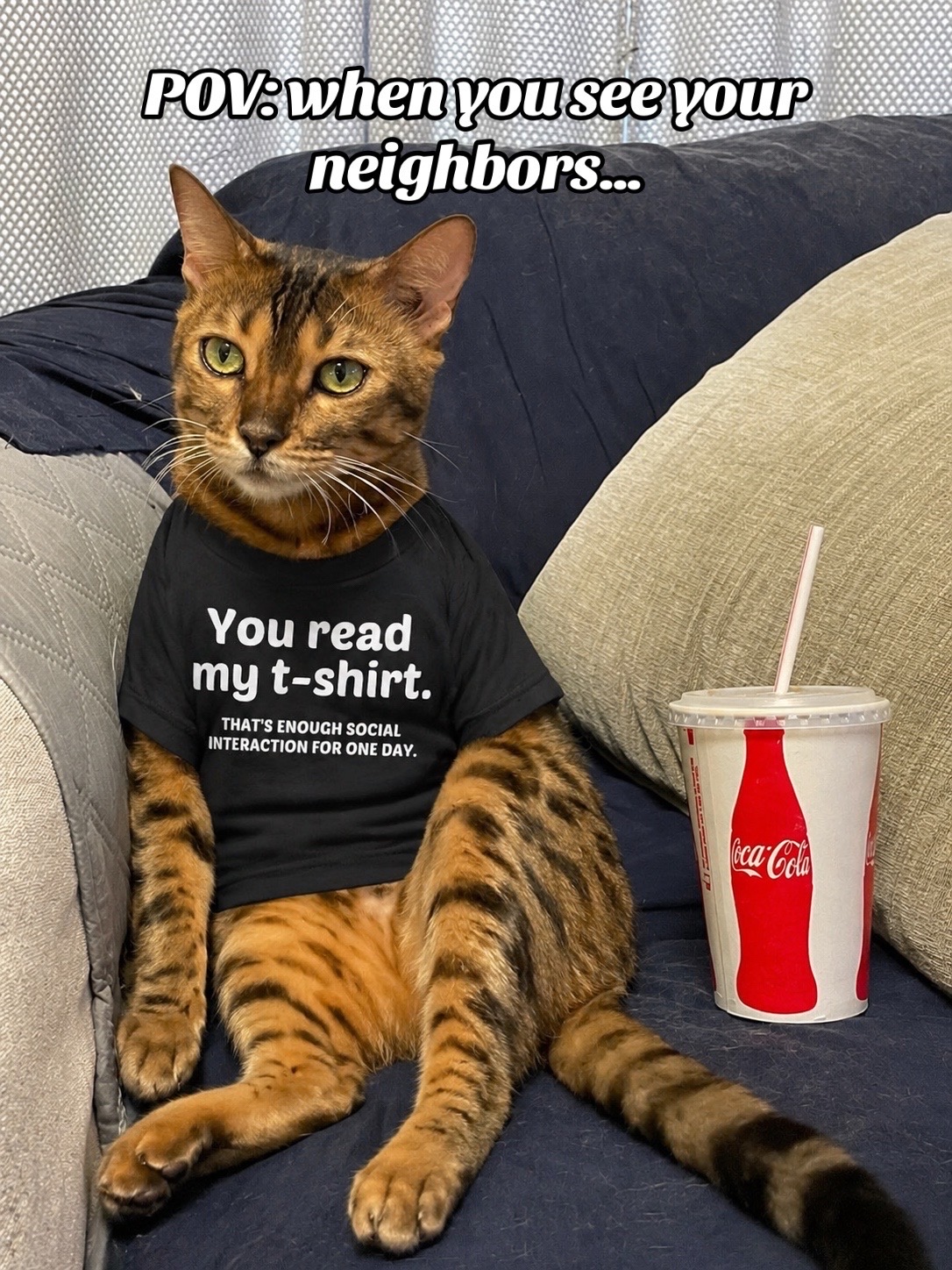 @Drew crazy cat guy