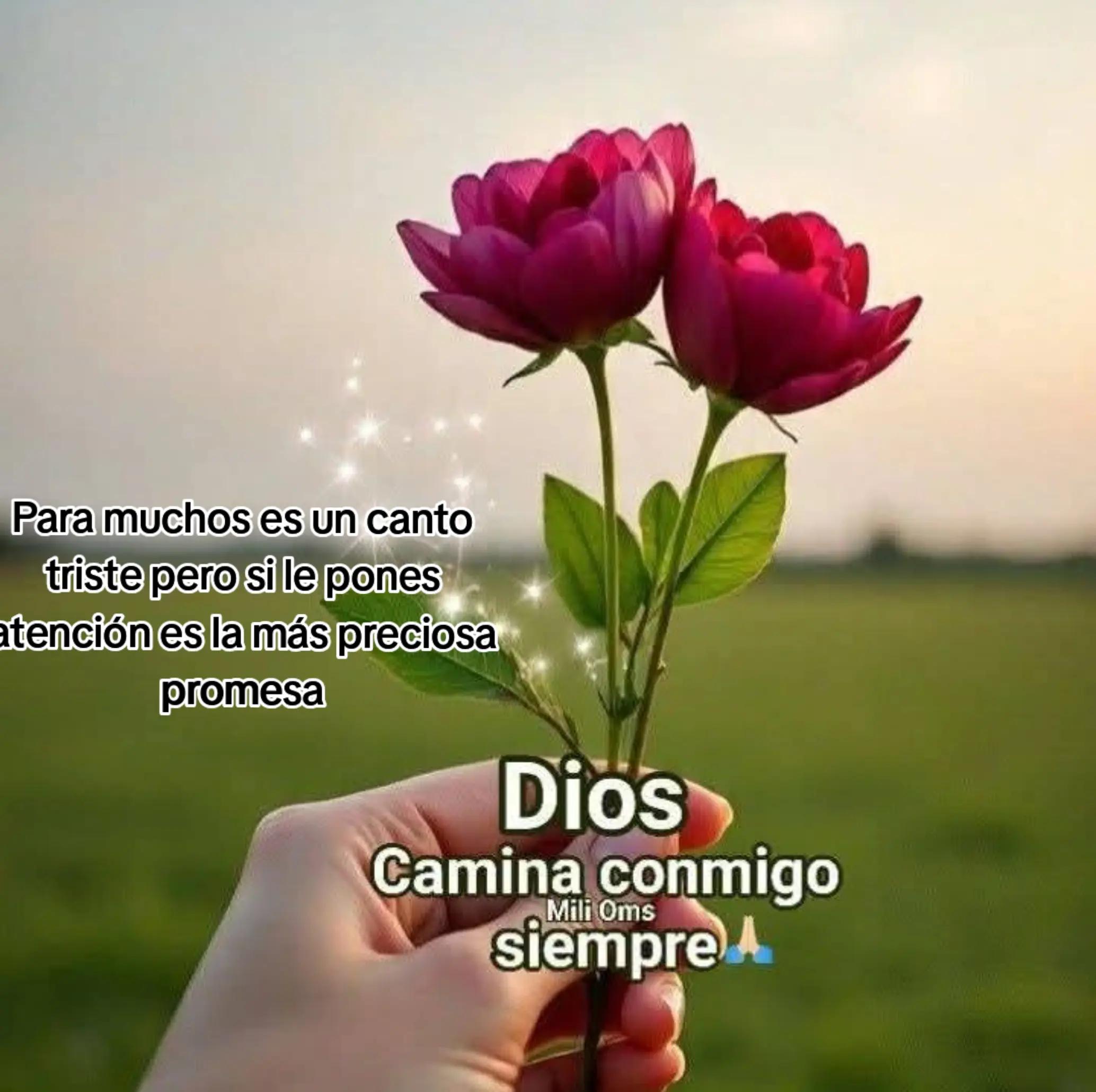 @ingridm