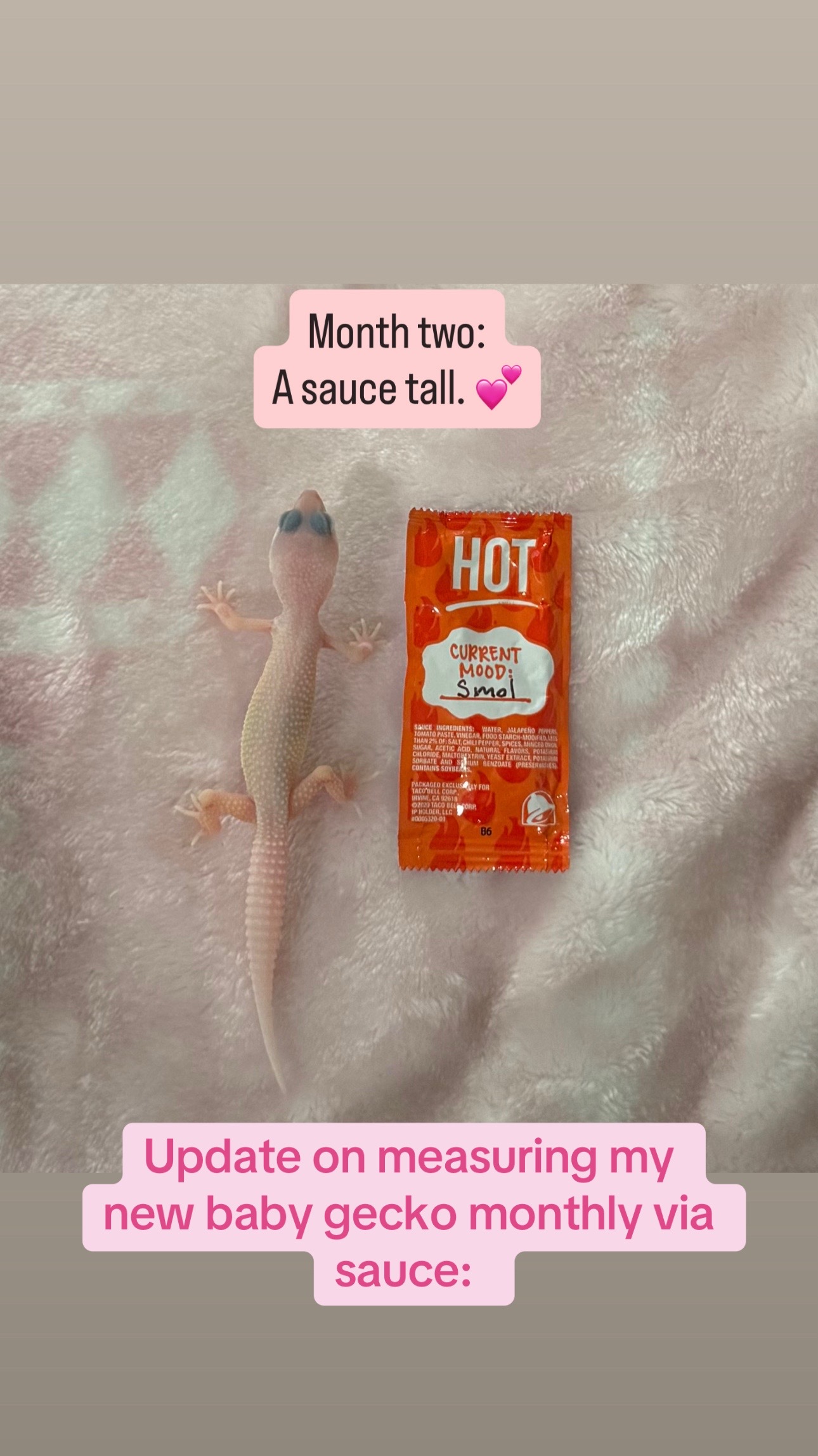 @Maxotic 💕✨