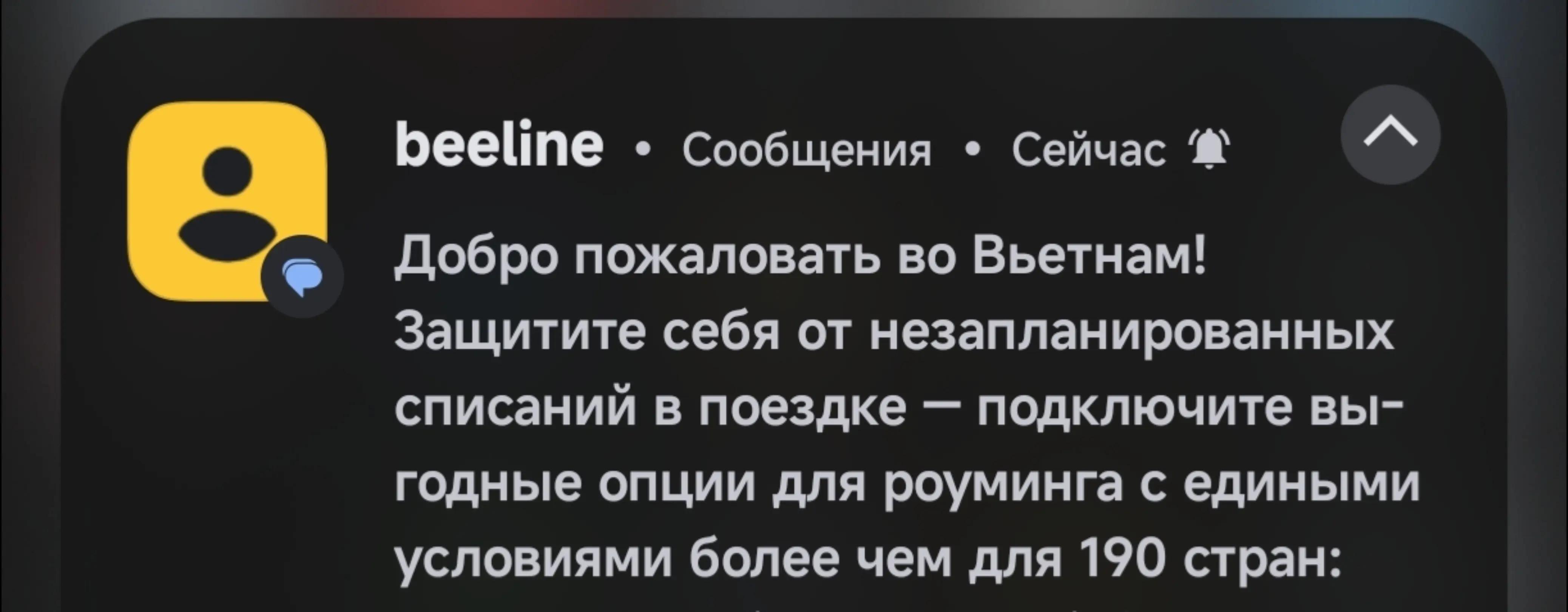 @dikiytazik