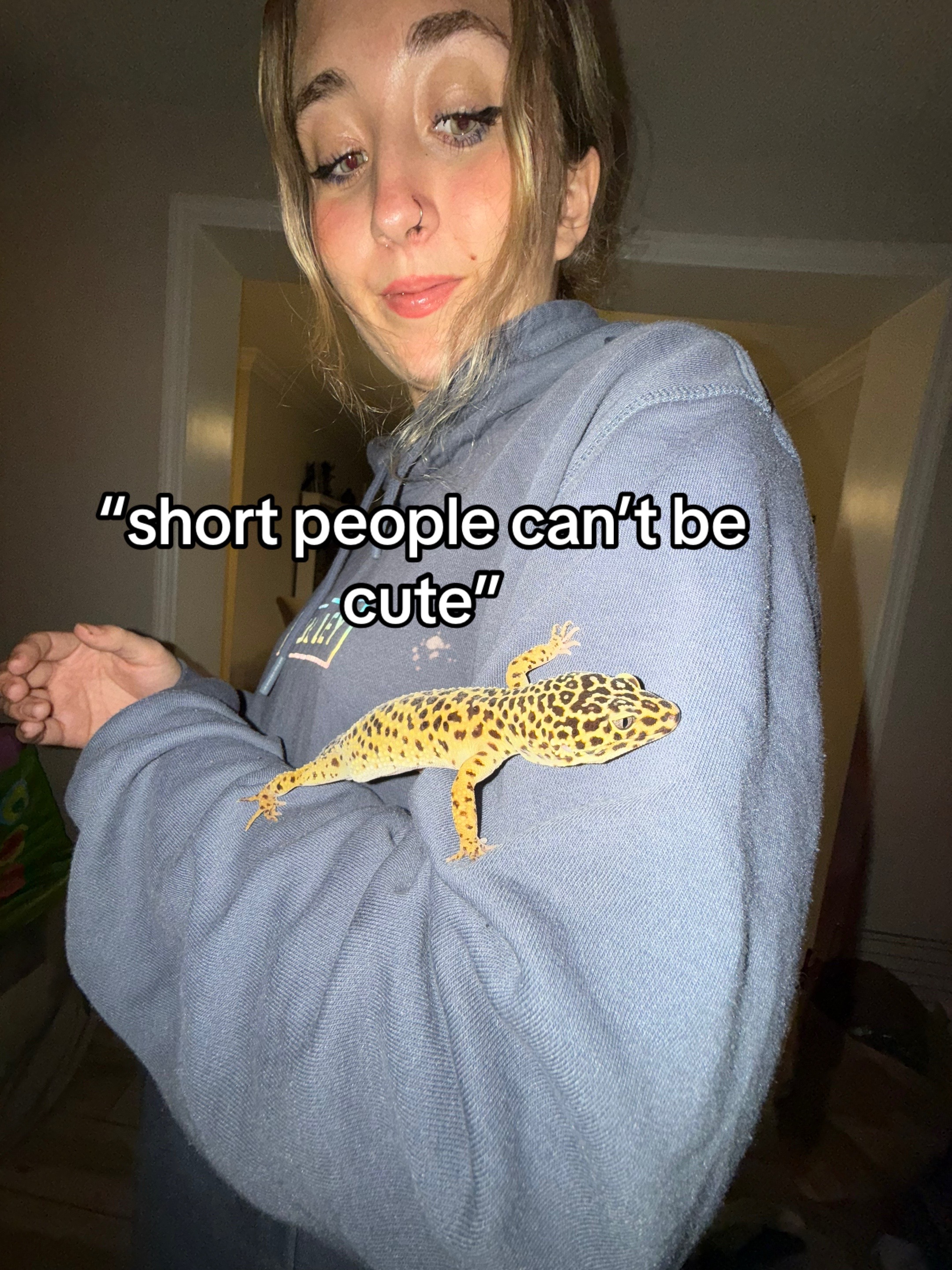 @ayla