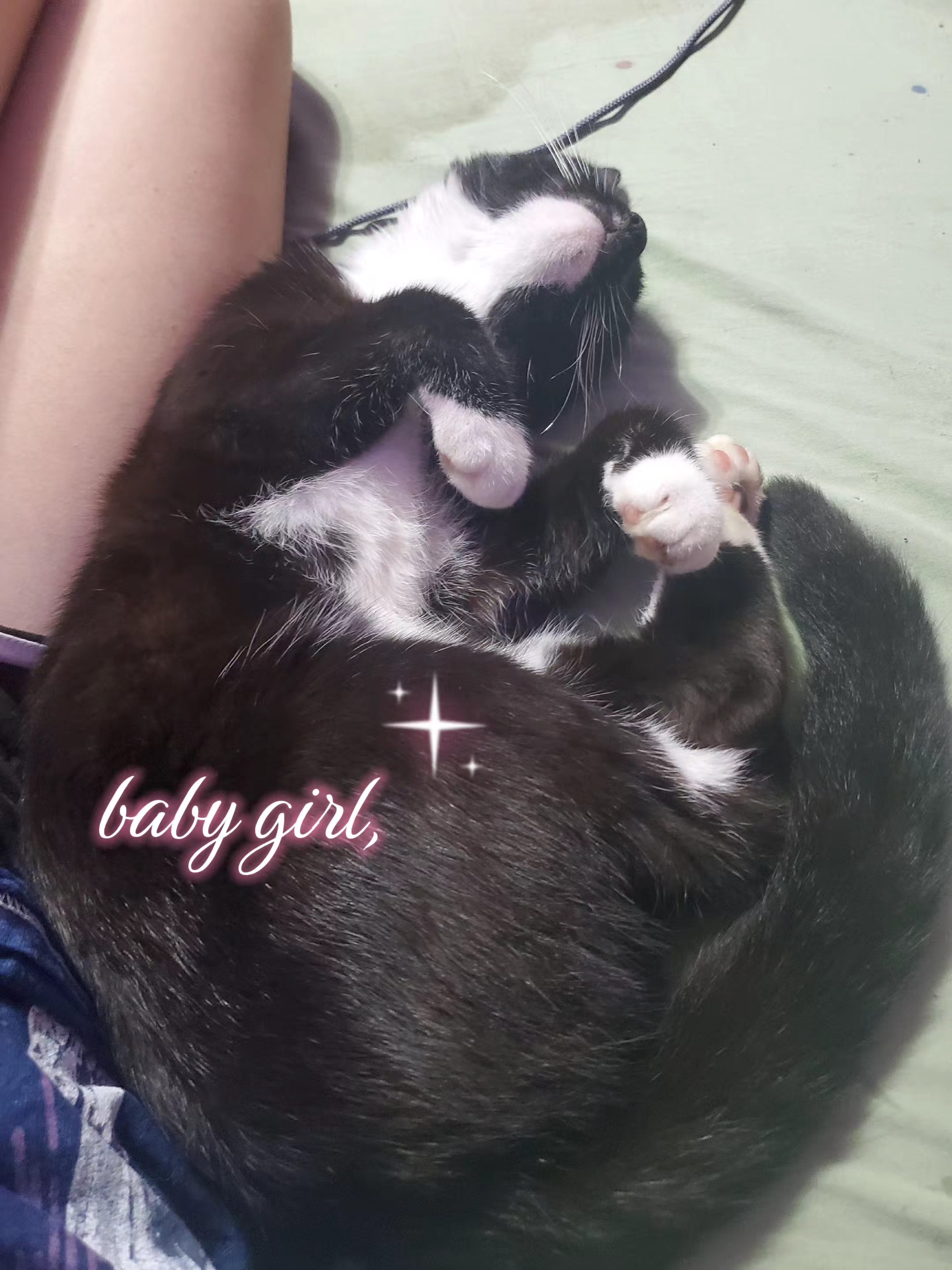 @๐๐๐๐๐๐๐๐๐โพ¾