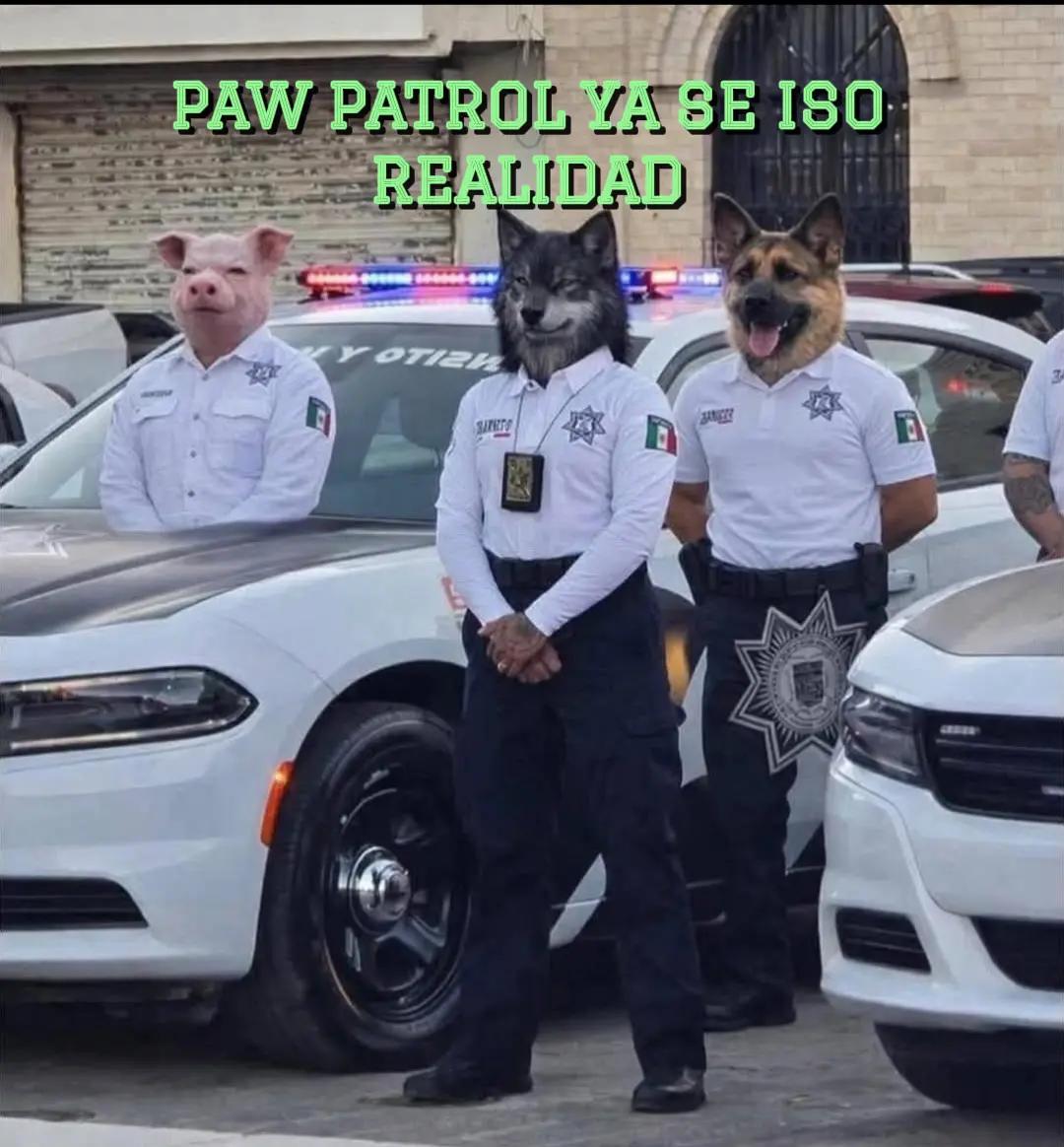 @🦁匚卂尺卂爪乇ㄥㄖ🦁🐺🇲🇽❤️👹🐻👻🦇🪽