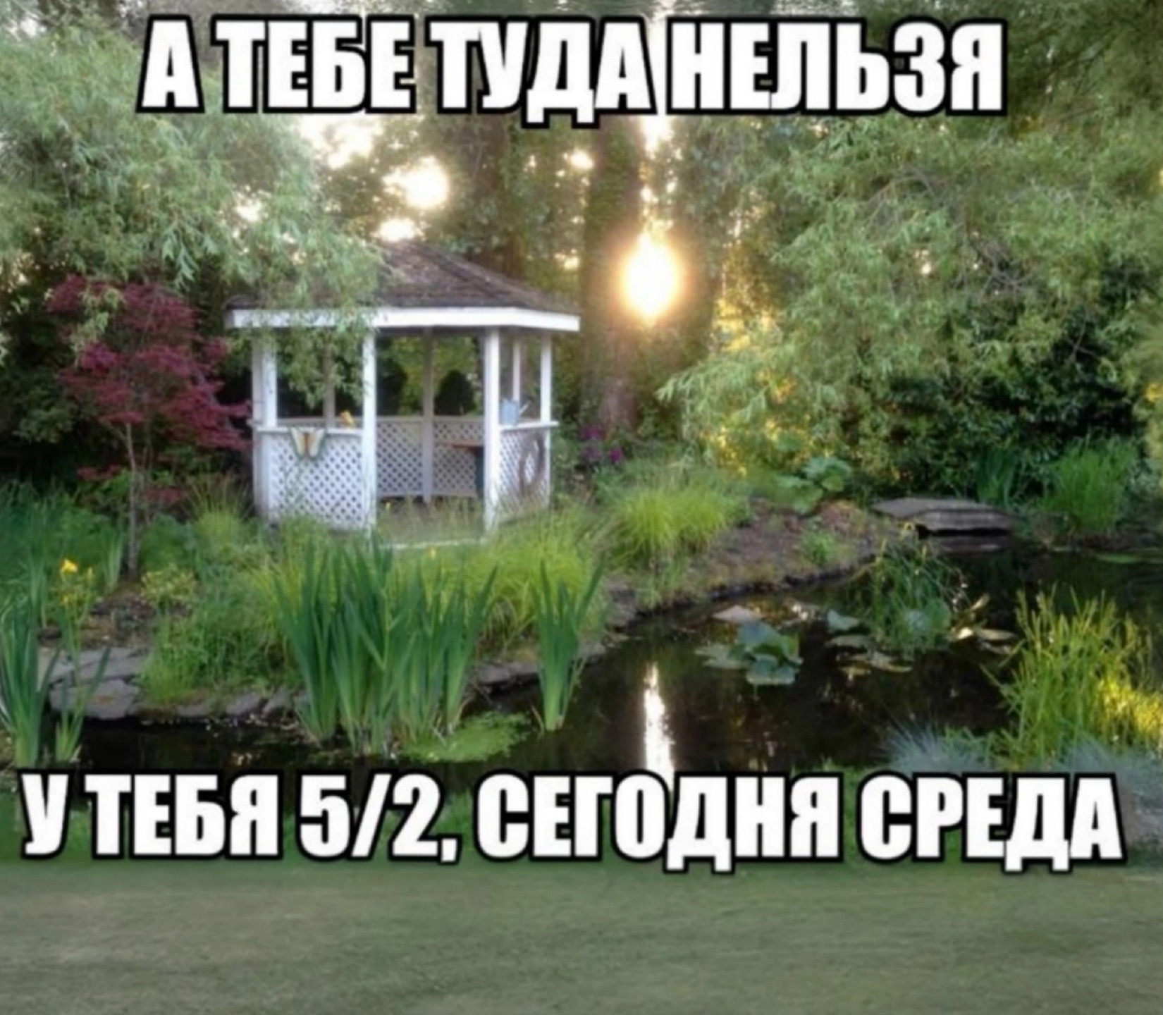 @penotrbl