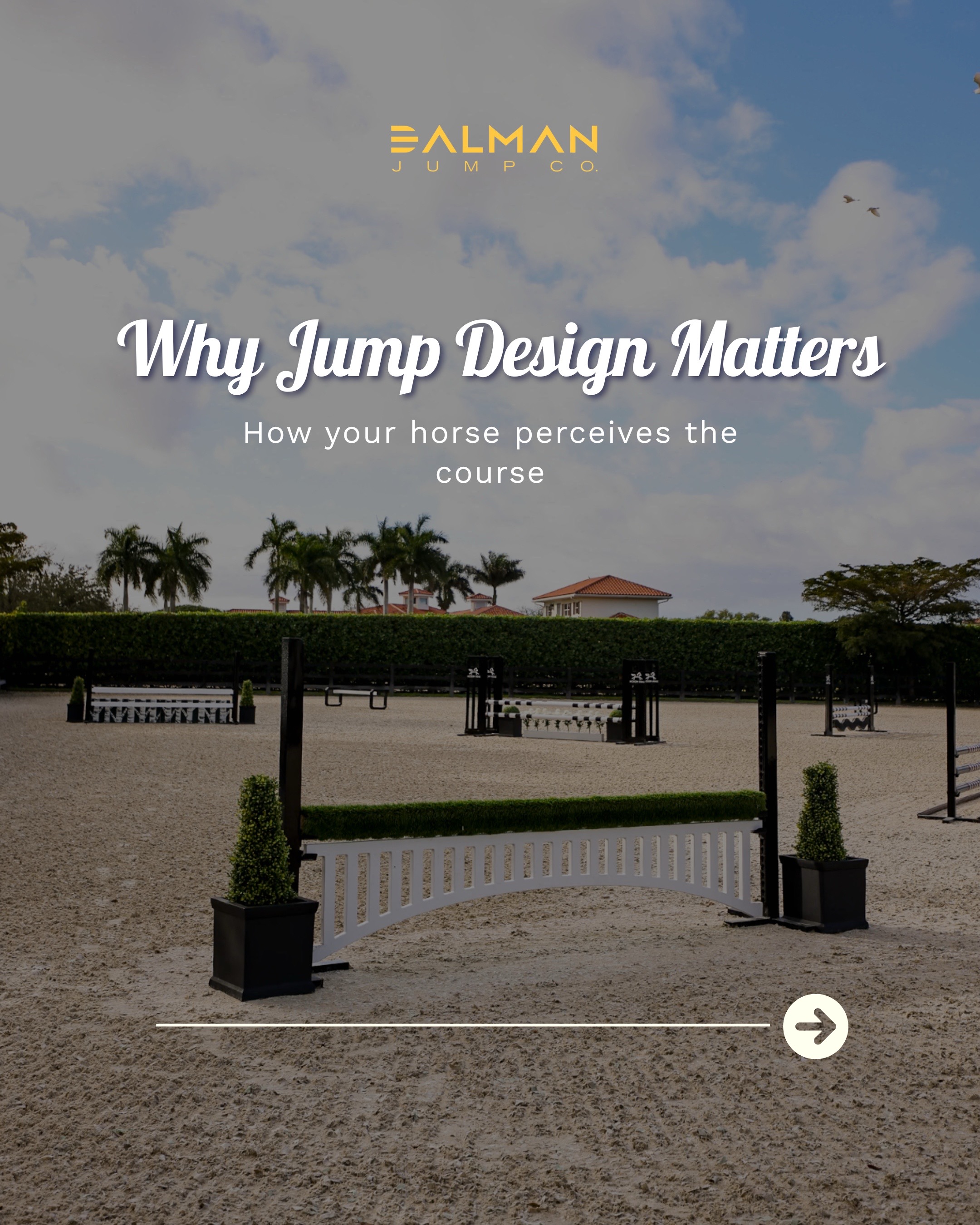 @Dalman Jump Co