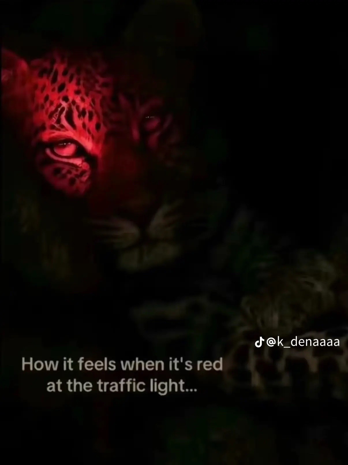@JT