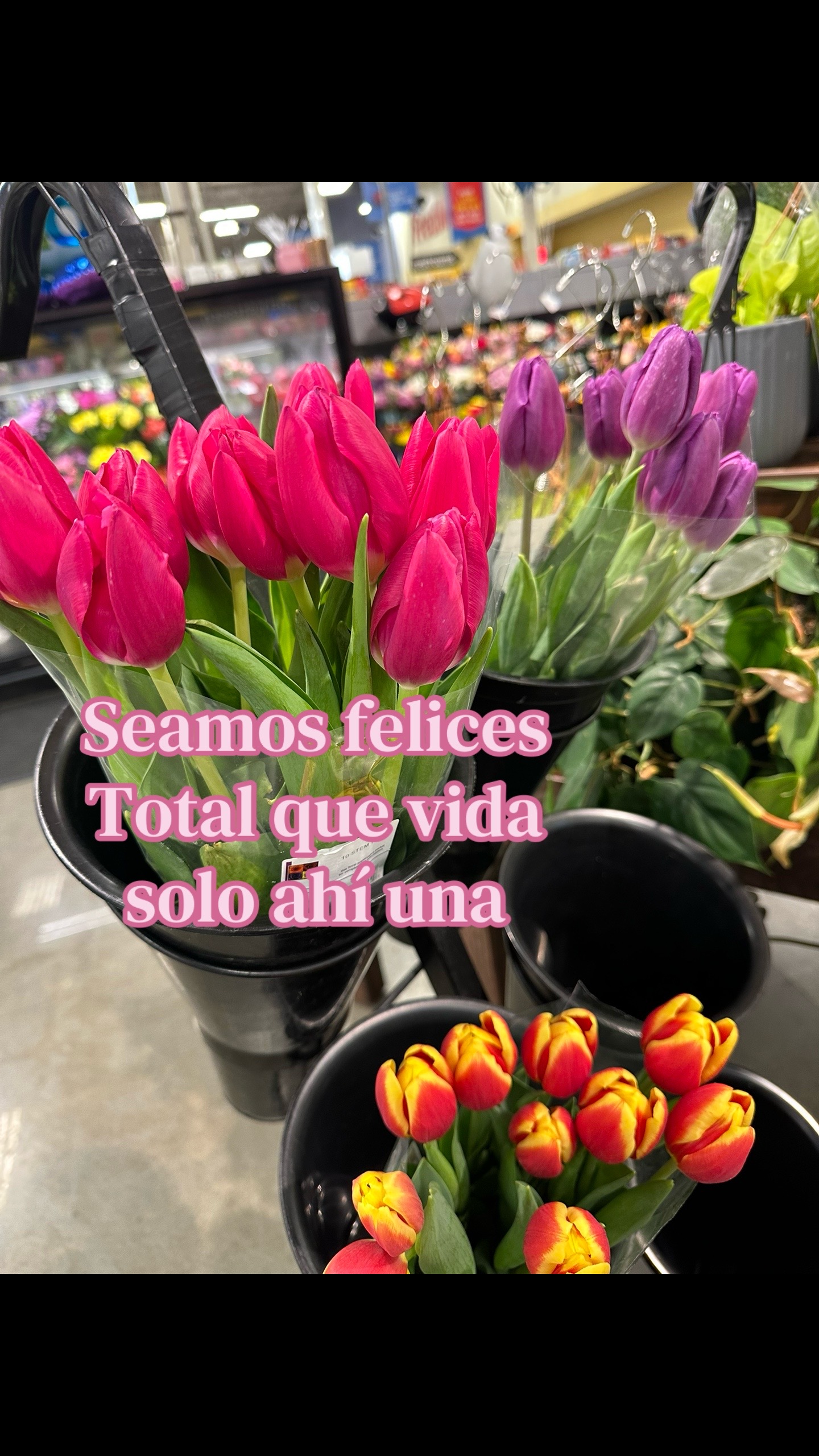 @Abril Robles