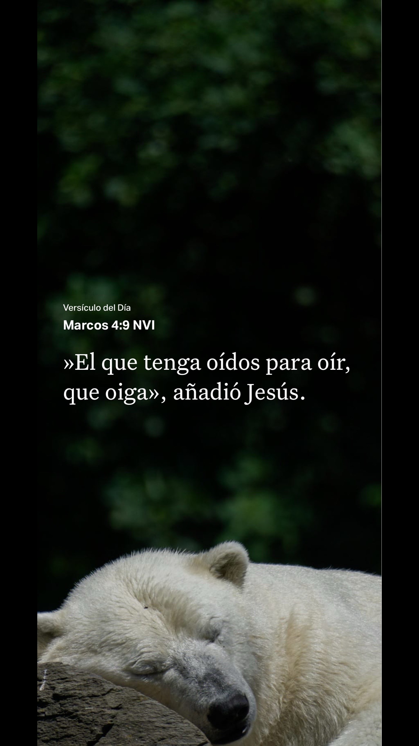 @Maria Jim&eacute;nez salud$Bienestar