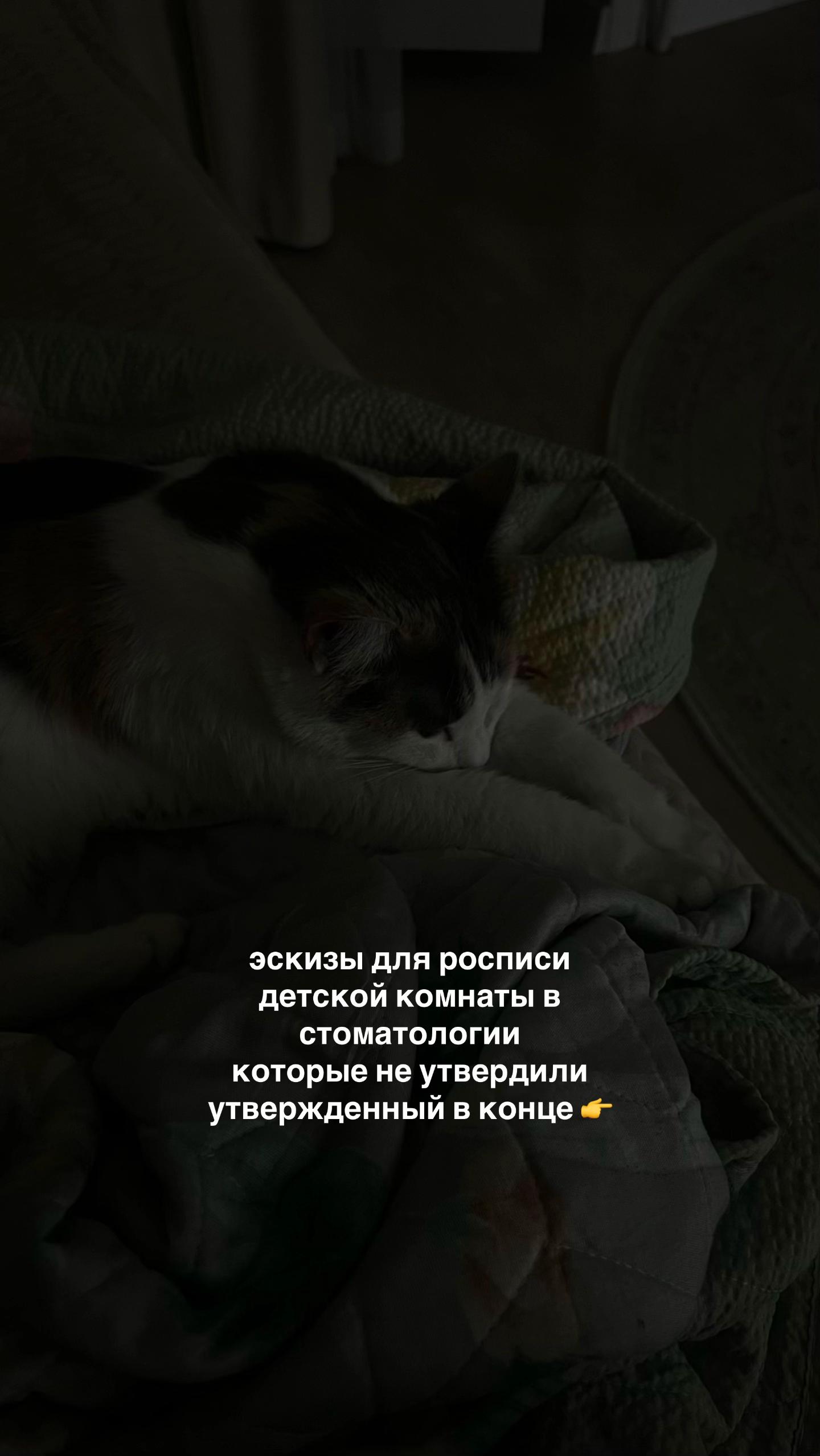 @Anel Bikenova