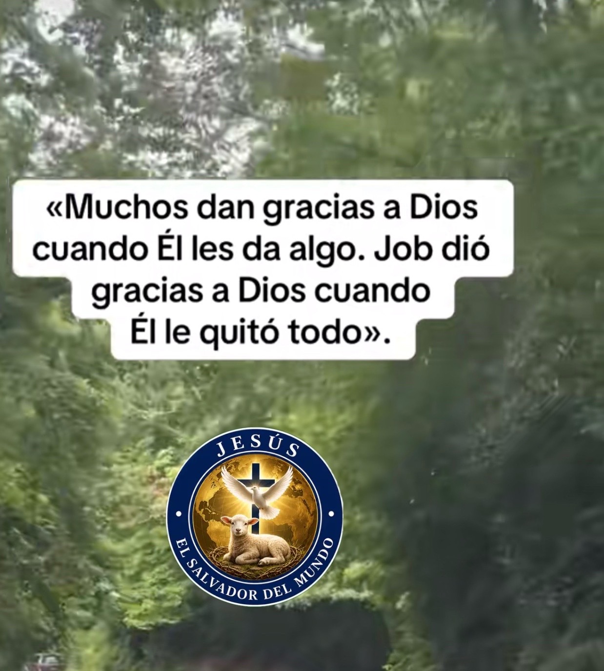 @Jes&uacute;s El Salvador del mundoDdJ