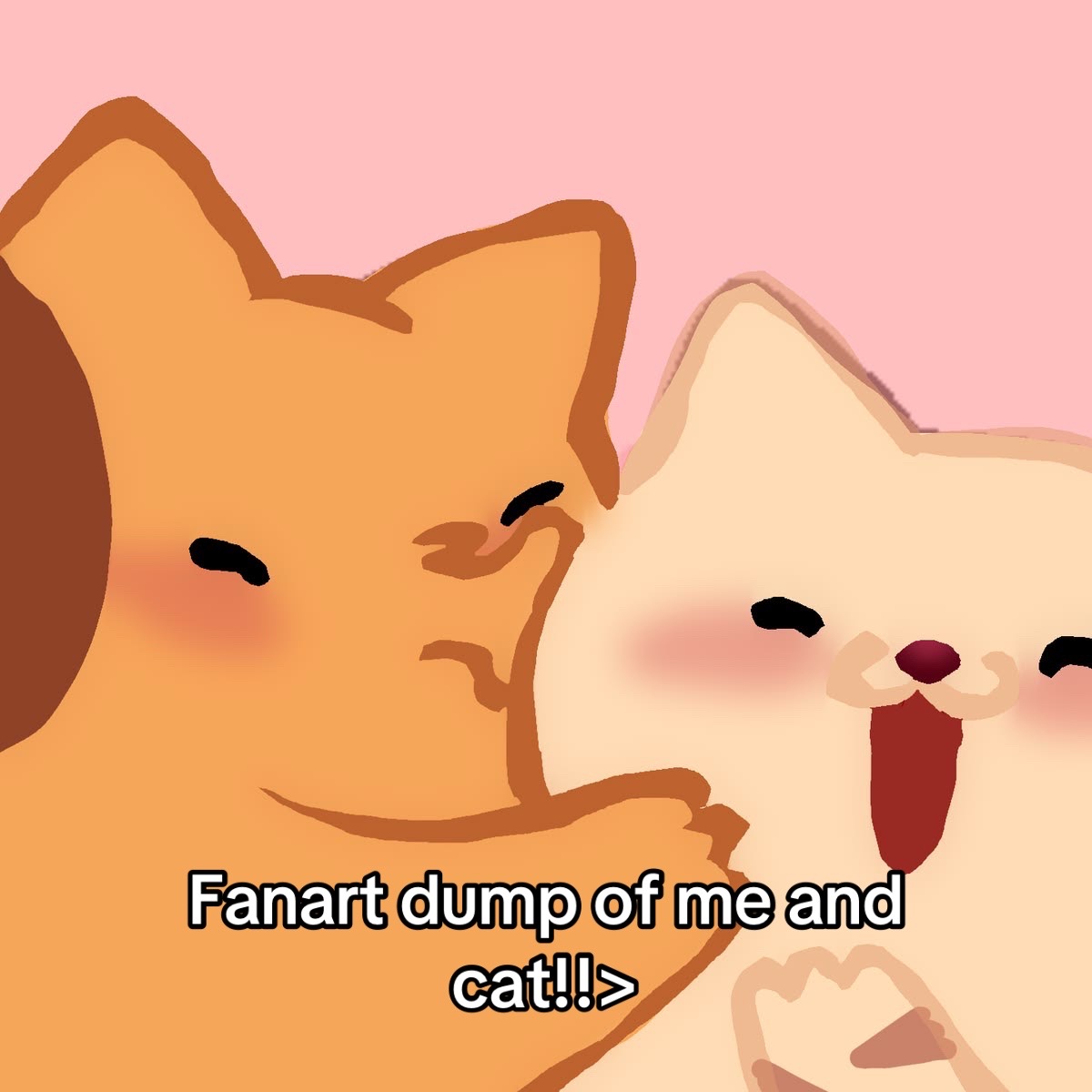 @Mrs Dottie Caticus ♥️