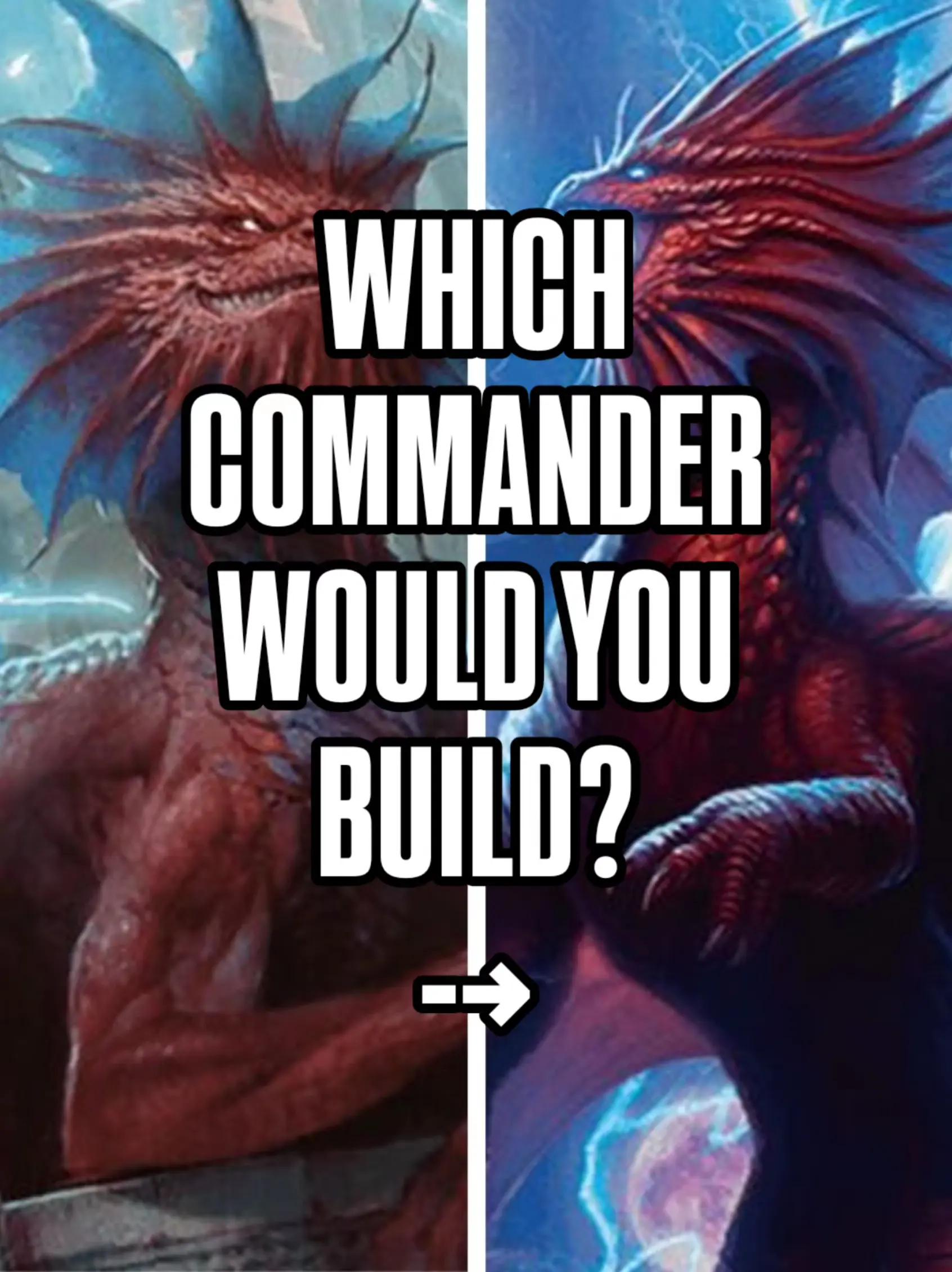 @That TCG Guy