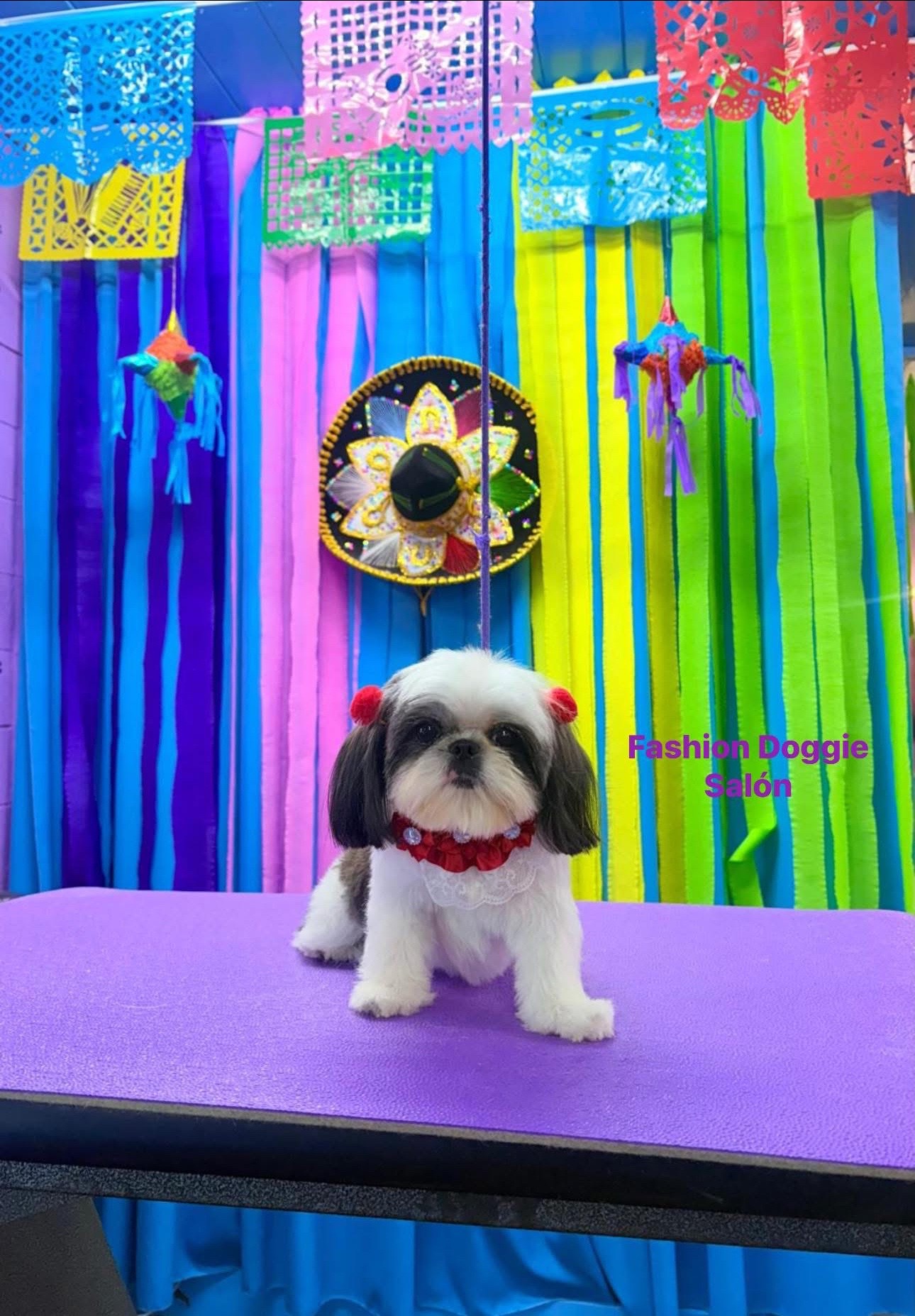 @fashion.doggie.salon