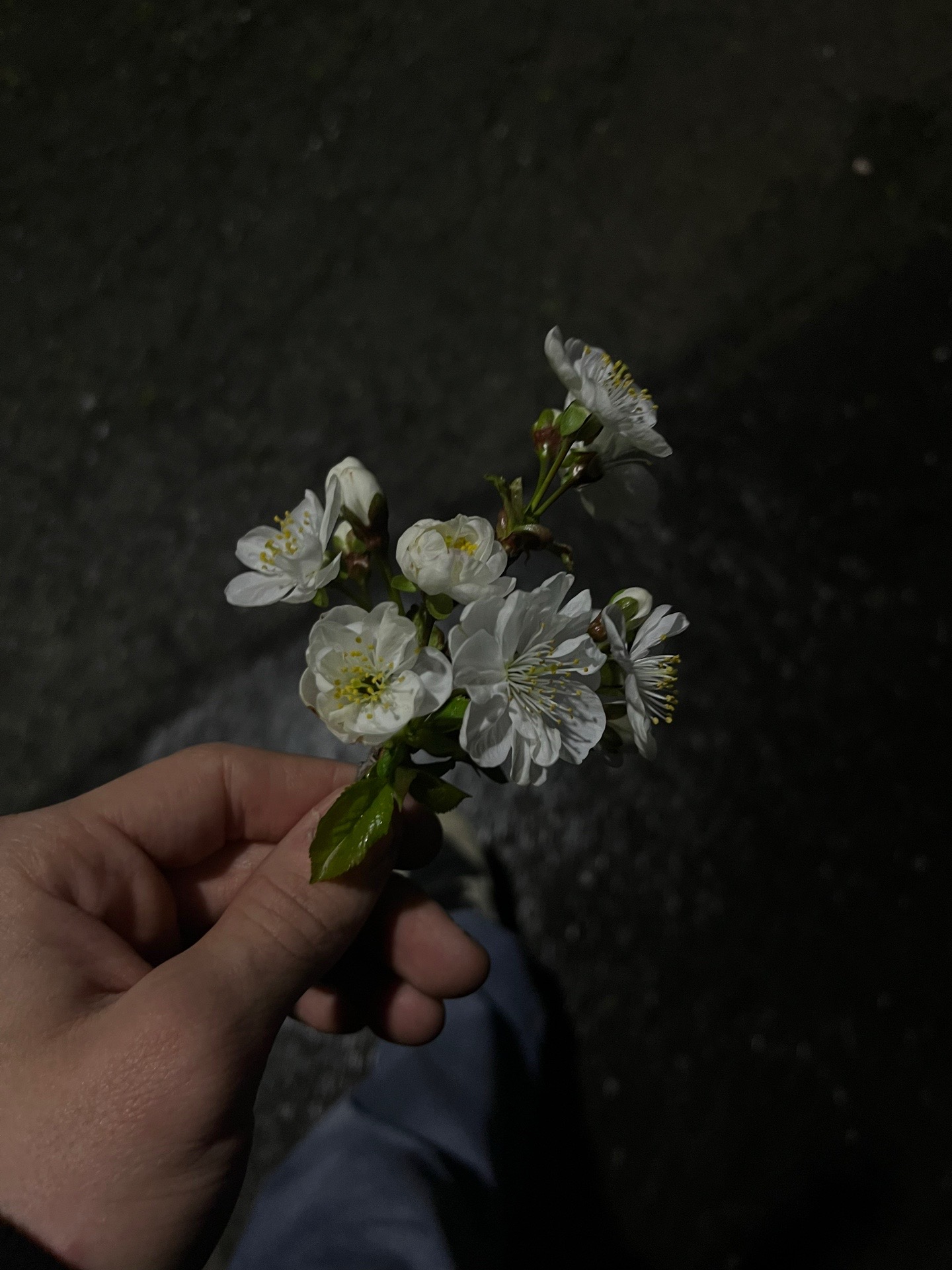 @валид