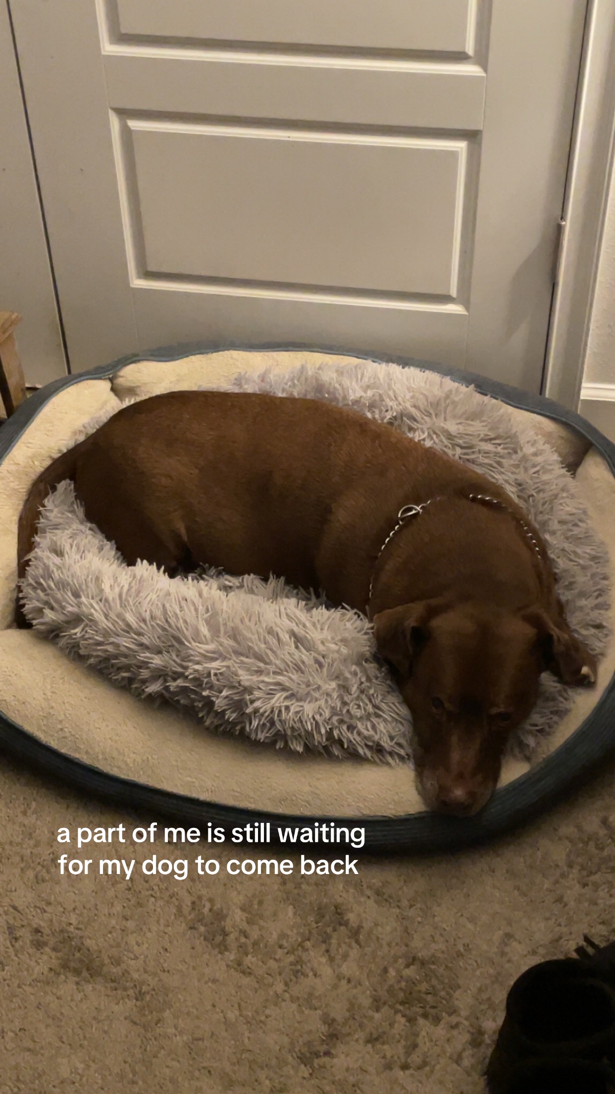 @vettemade