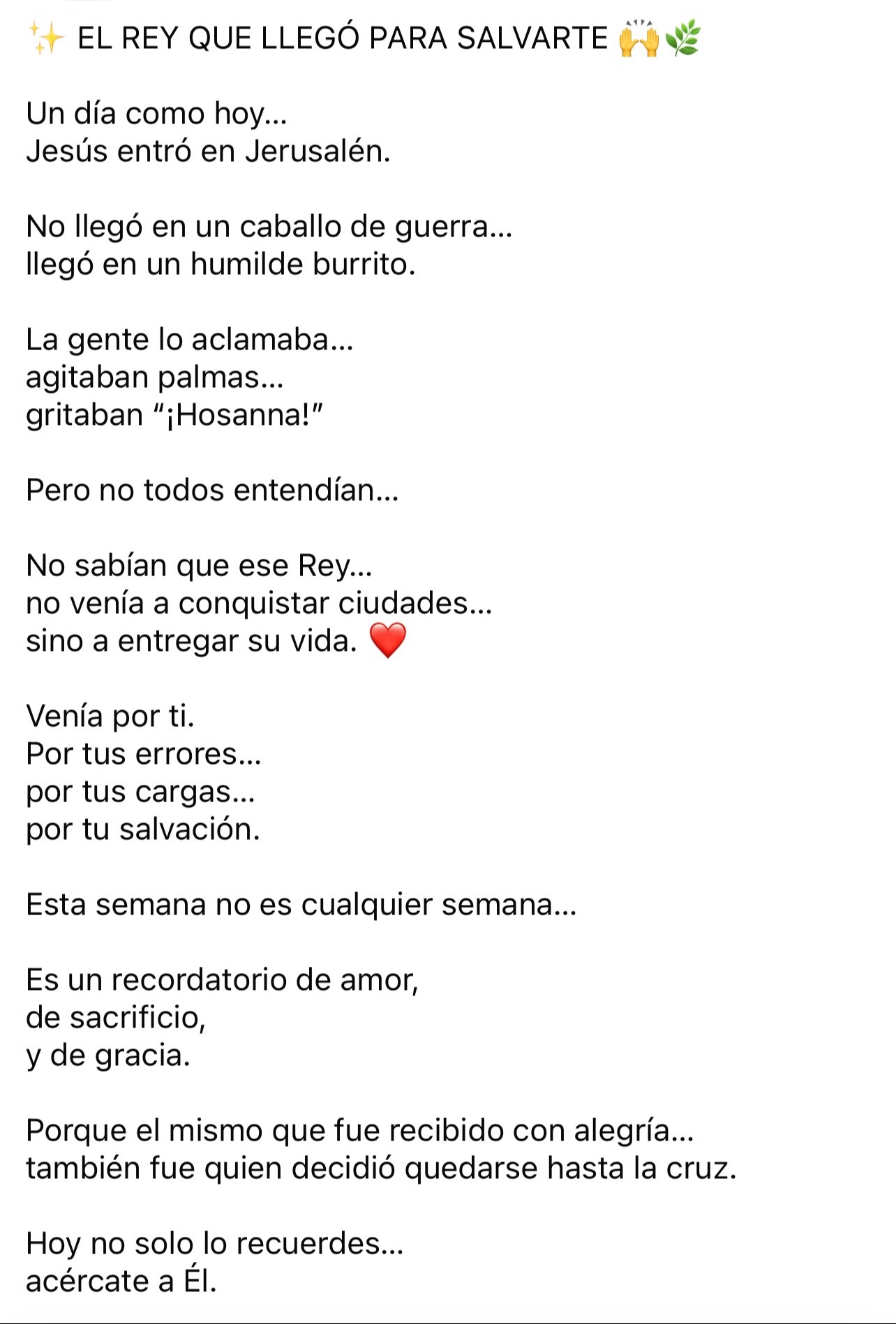@Anika Garc&iacute;a🖇️🤍🍒