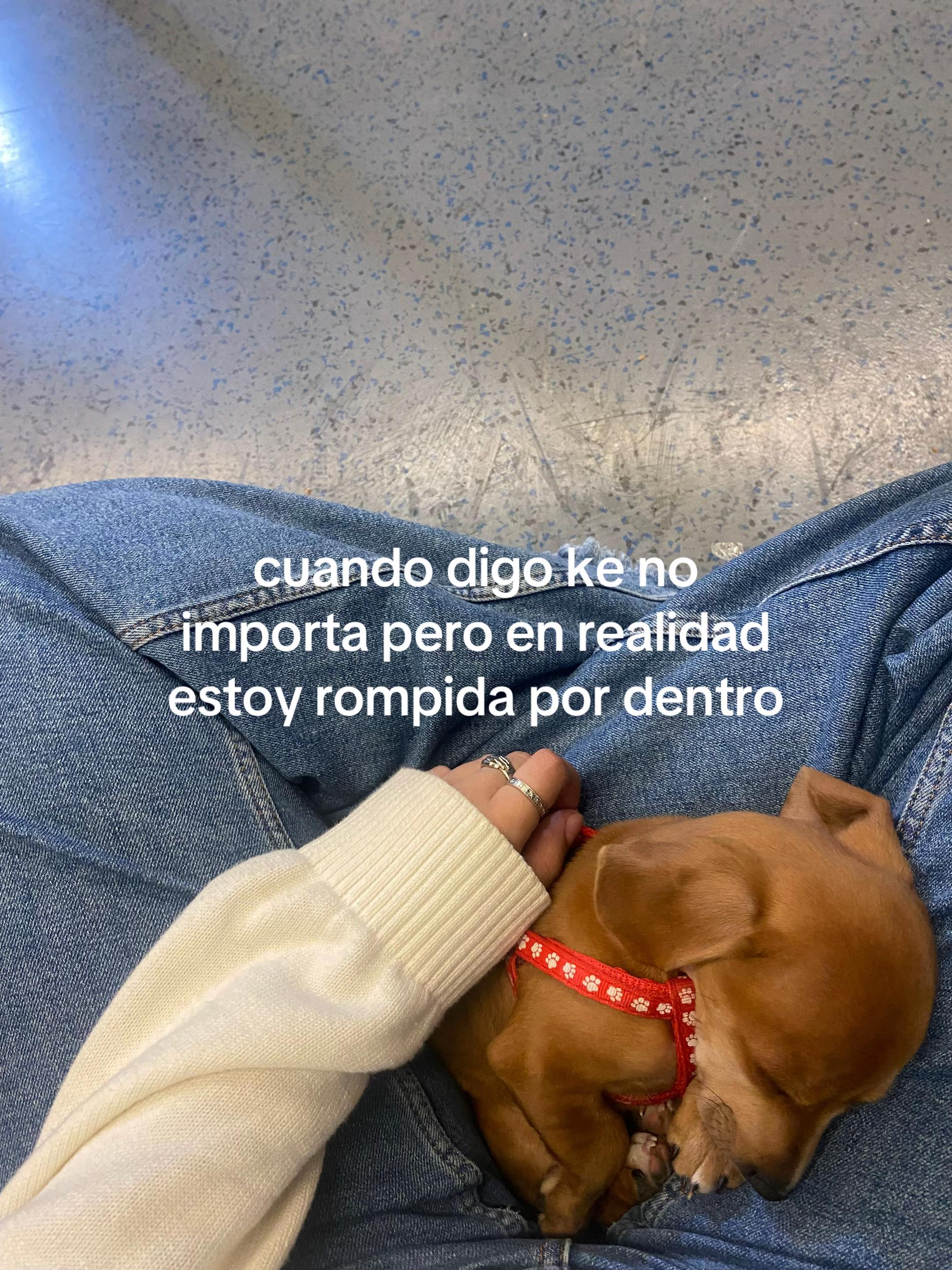 @𝒜𝓃𝓉𝑜𝓃𝑒𝓁𝓁𝒶