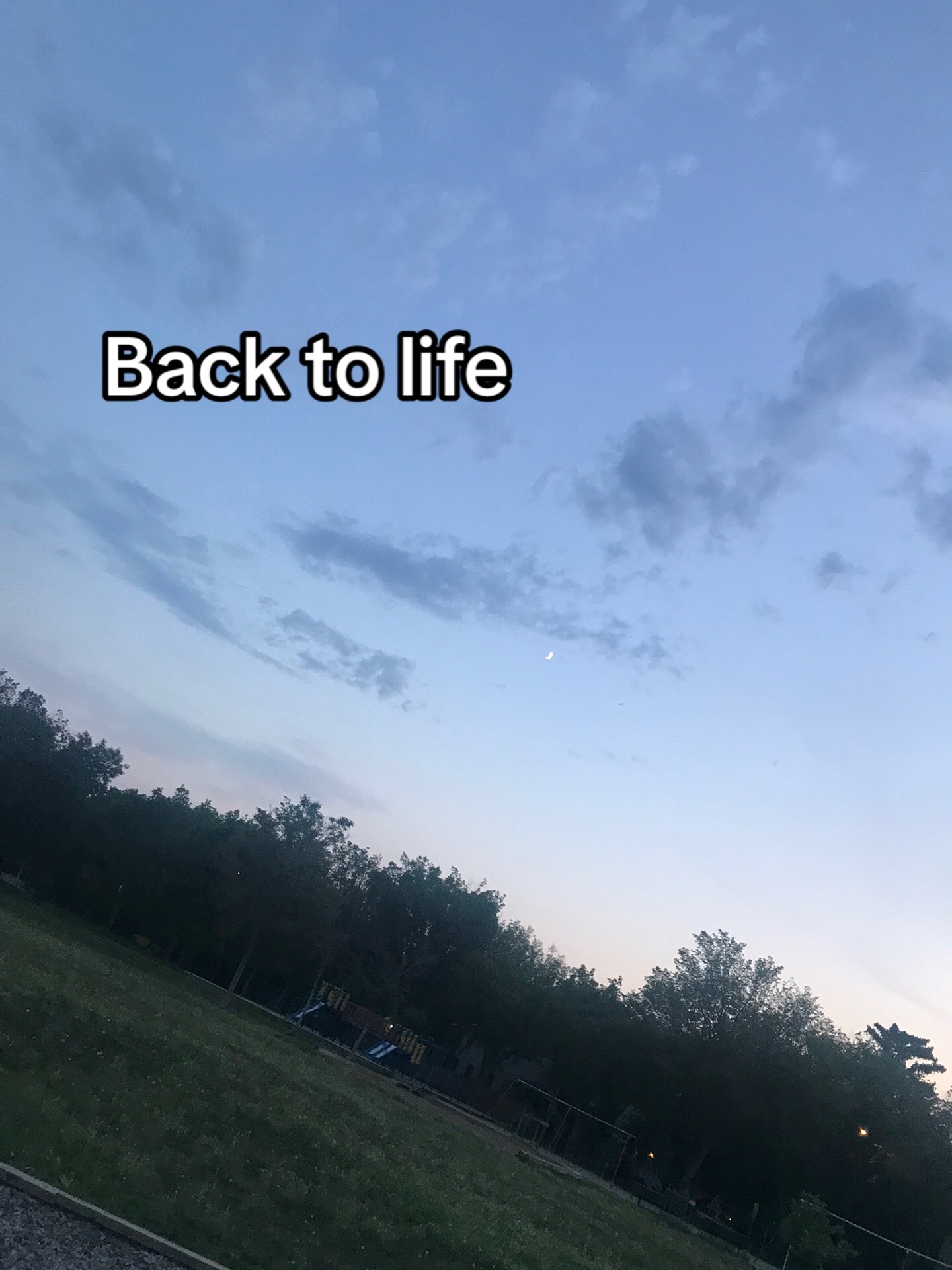 @Joy Creelry