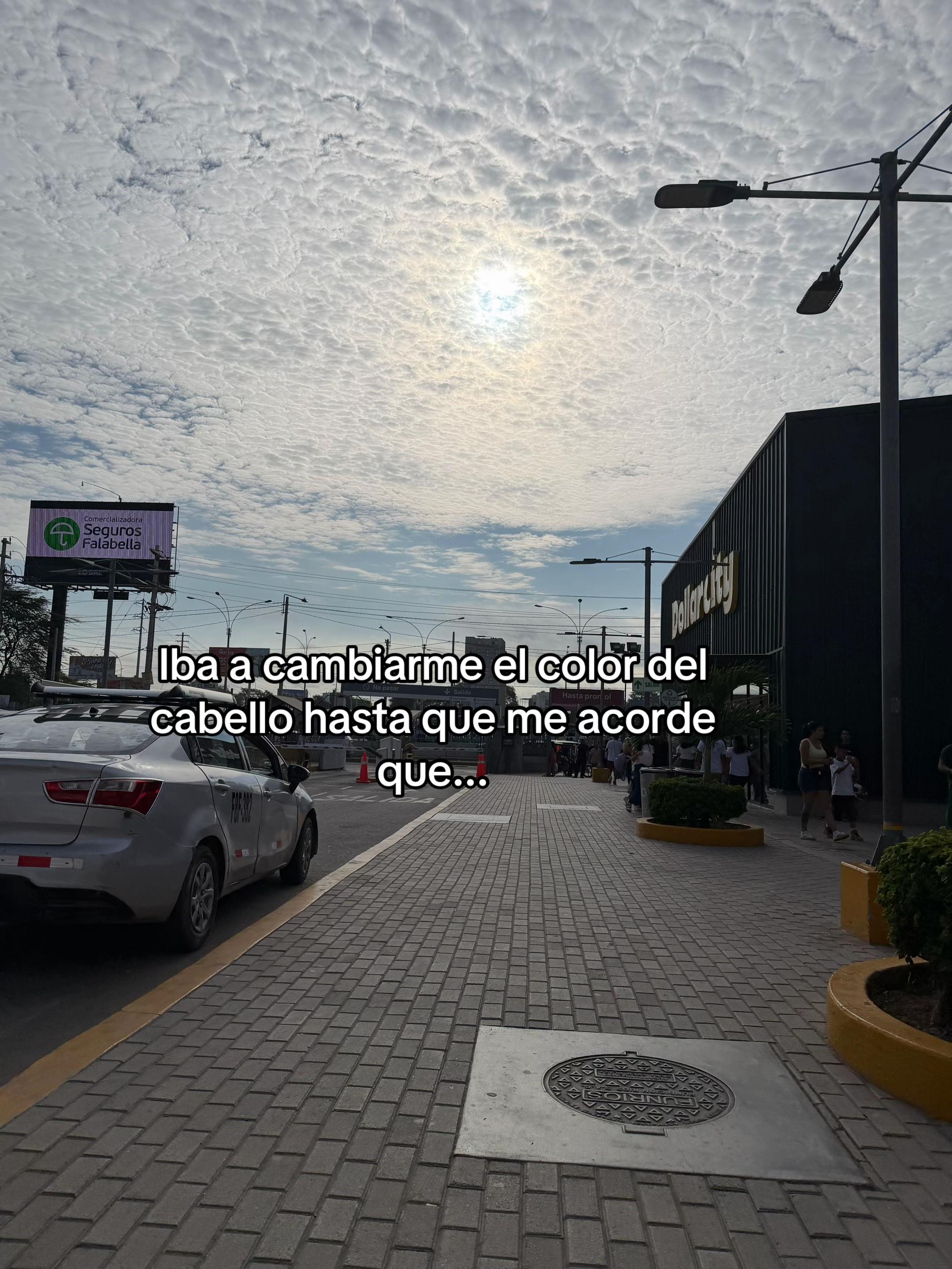 @ᥫ᭡
