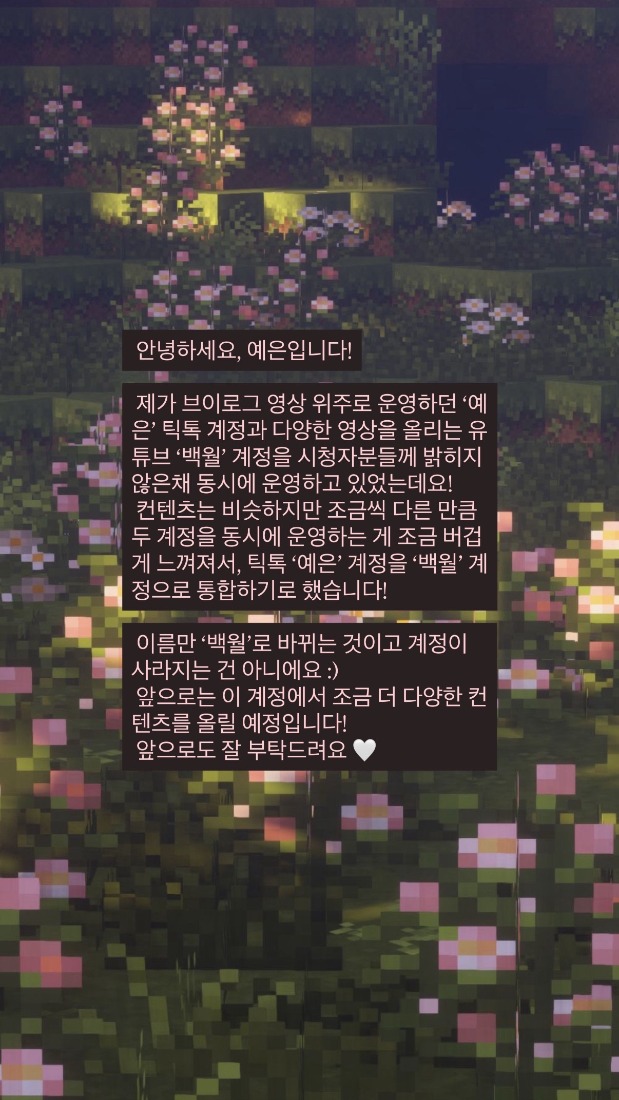 @백 월