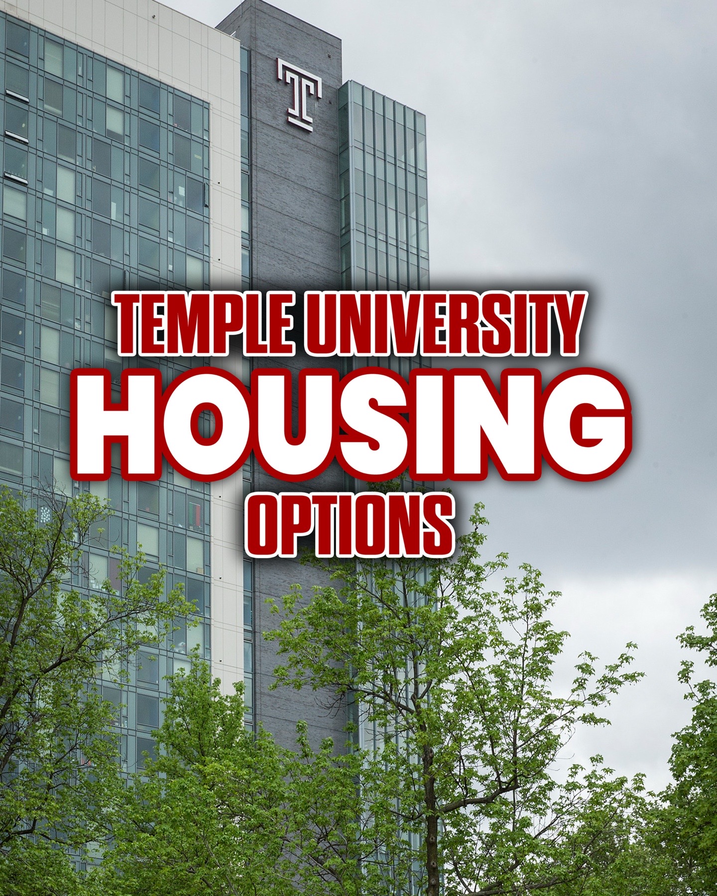 @Temple University