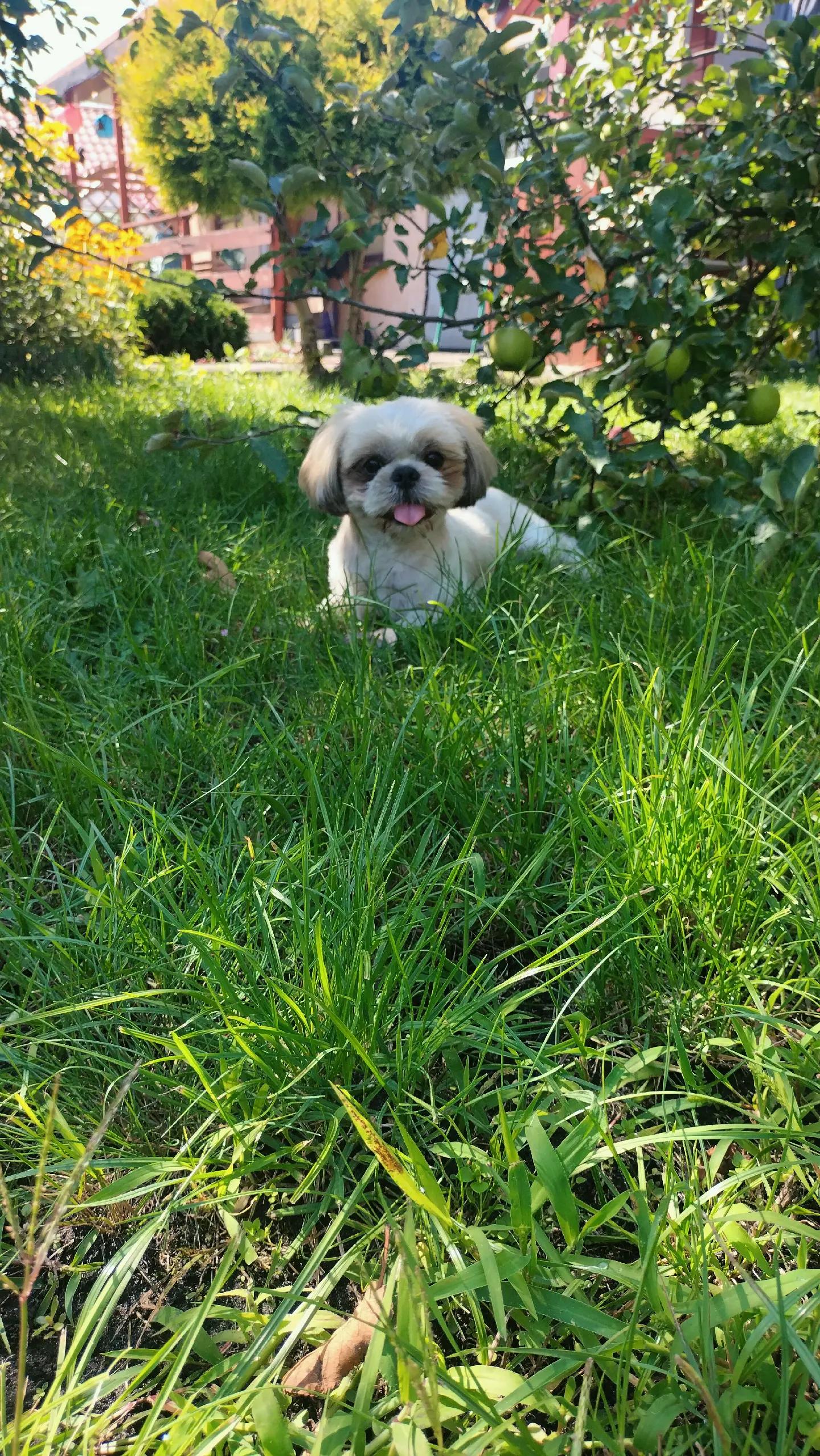 @Mirabelka 🍀