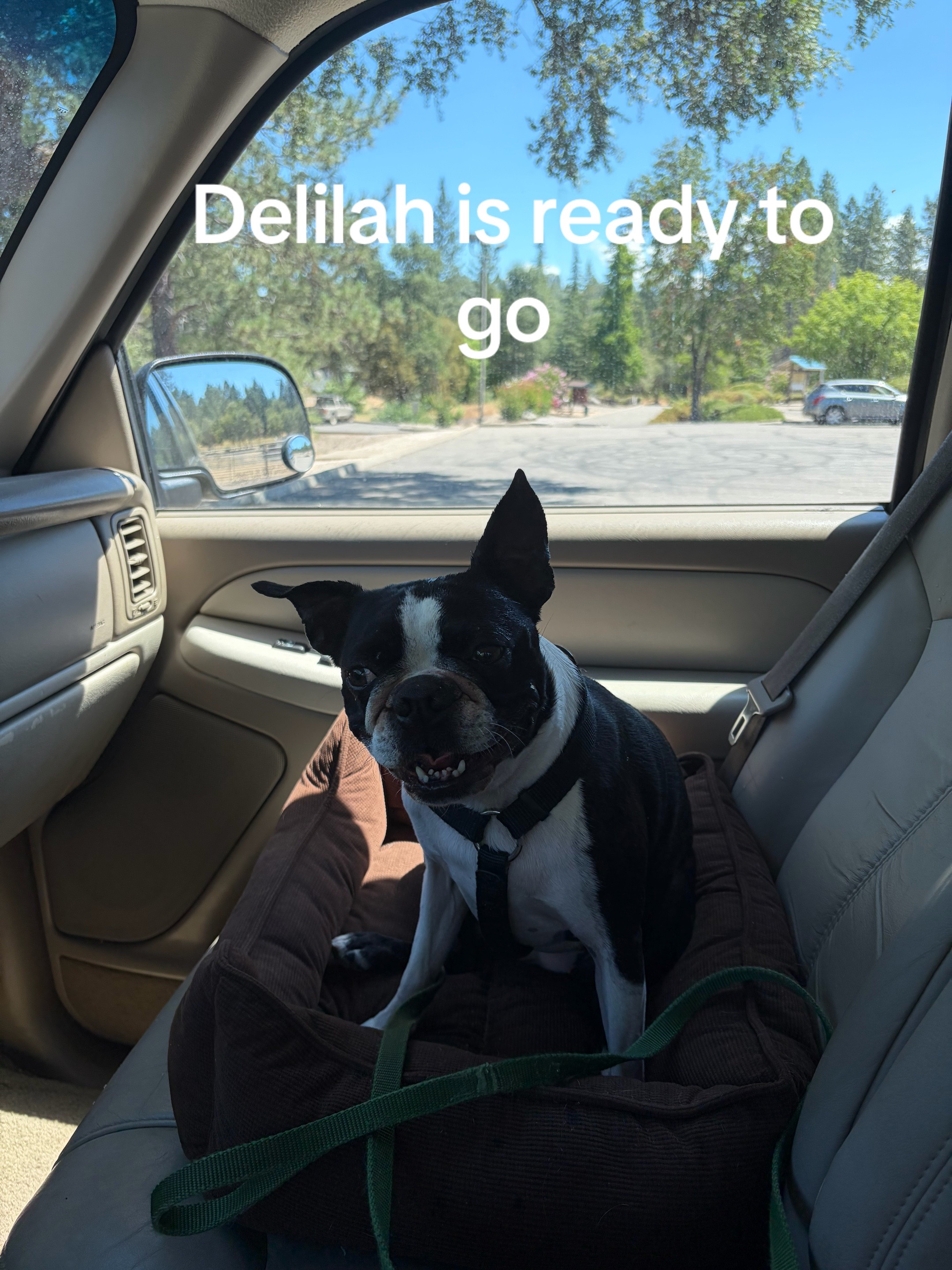 @Laurie’s-remi&delilah