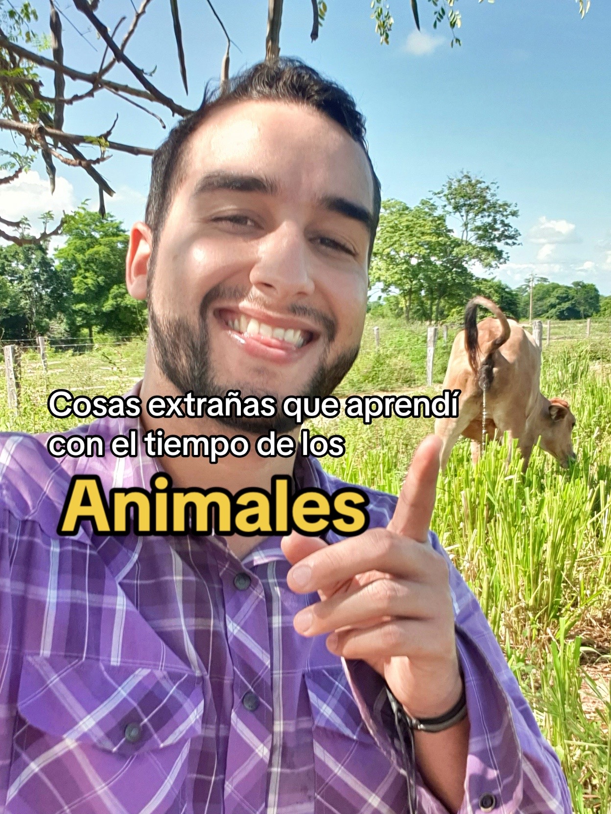 @Luis Fernando Silva 🐎🔥