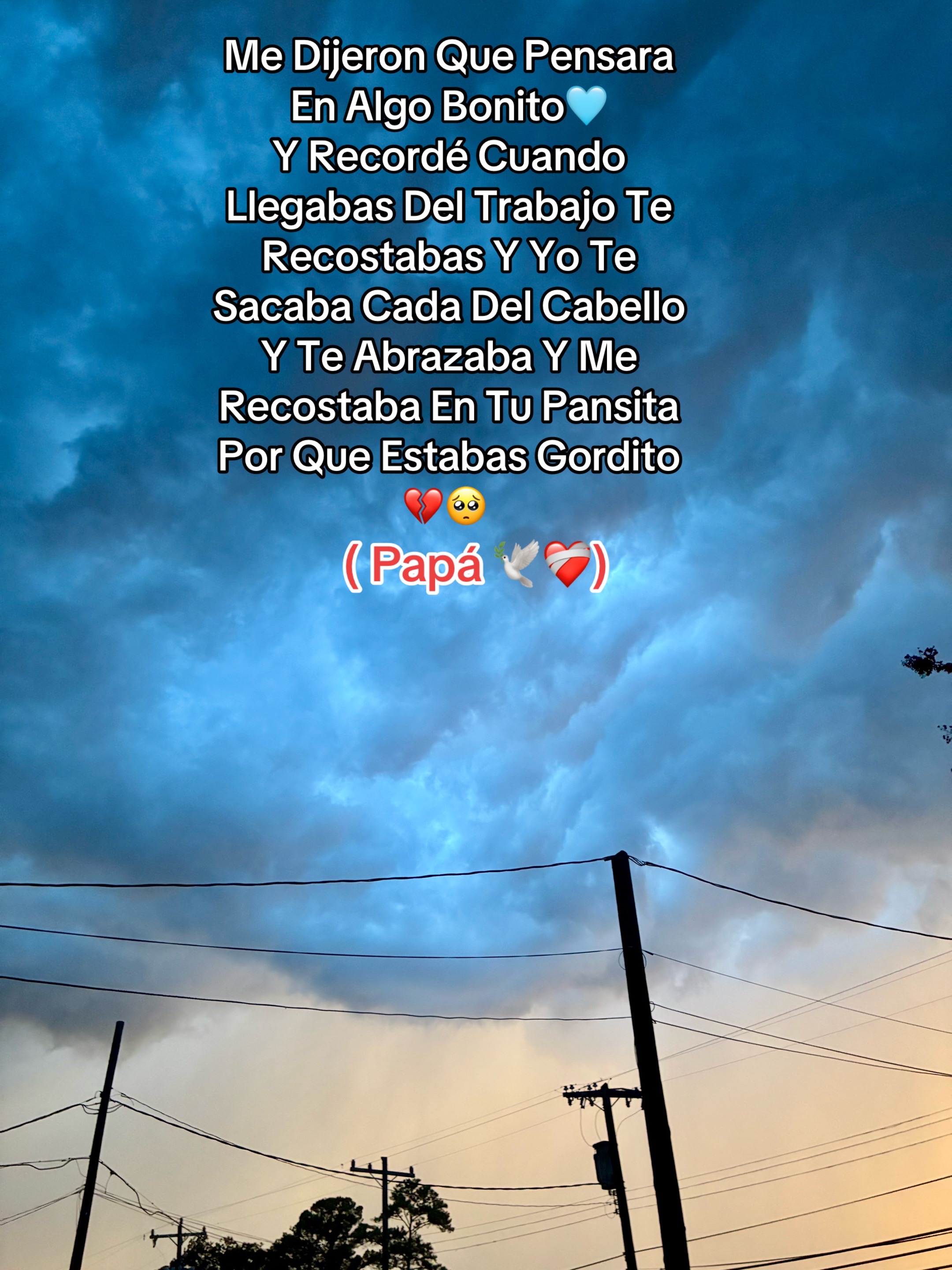 @Daniela Guardado💙🇭🇳