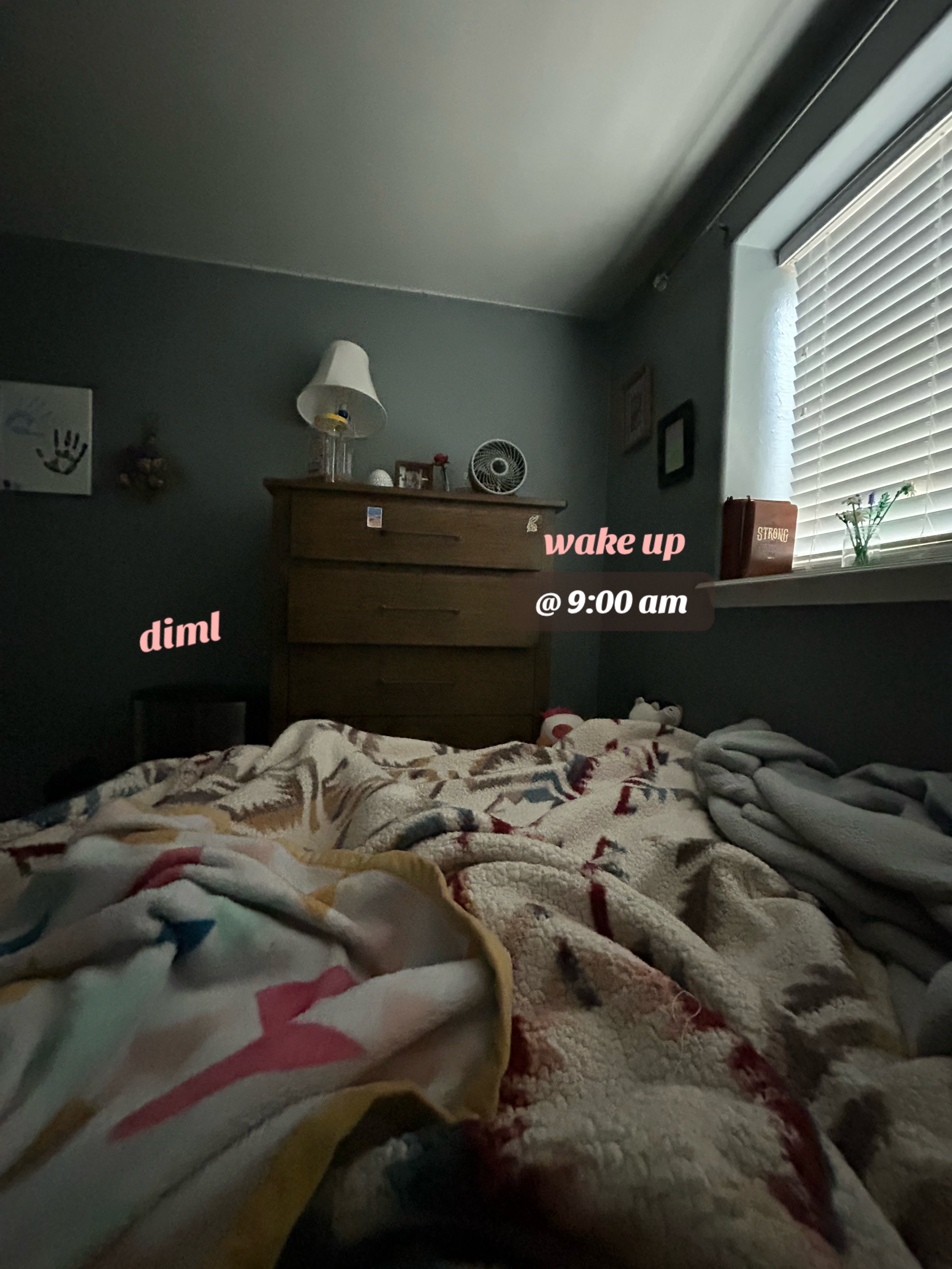 @kolbi
