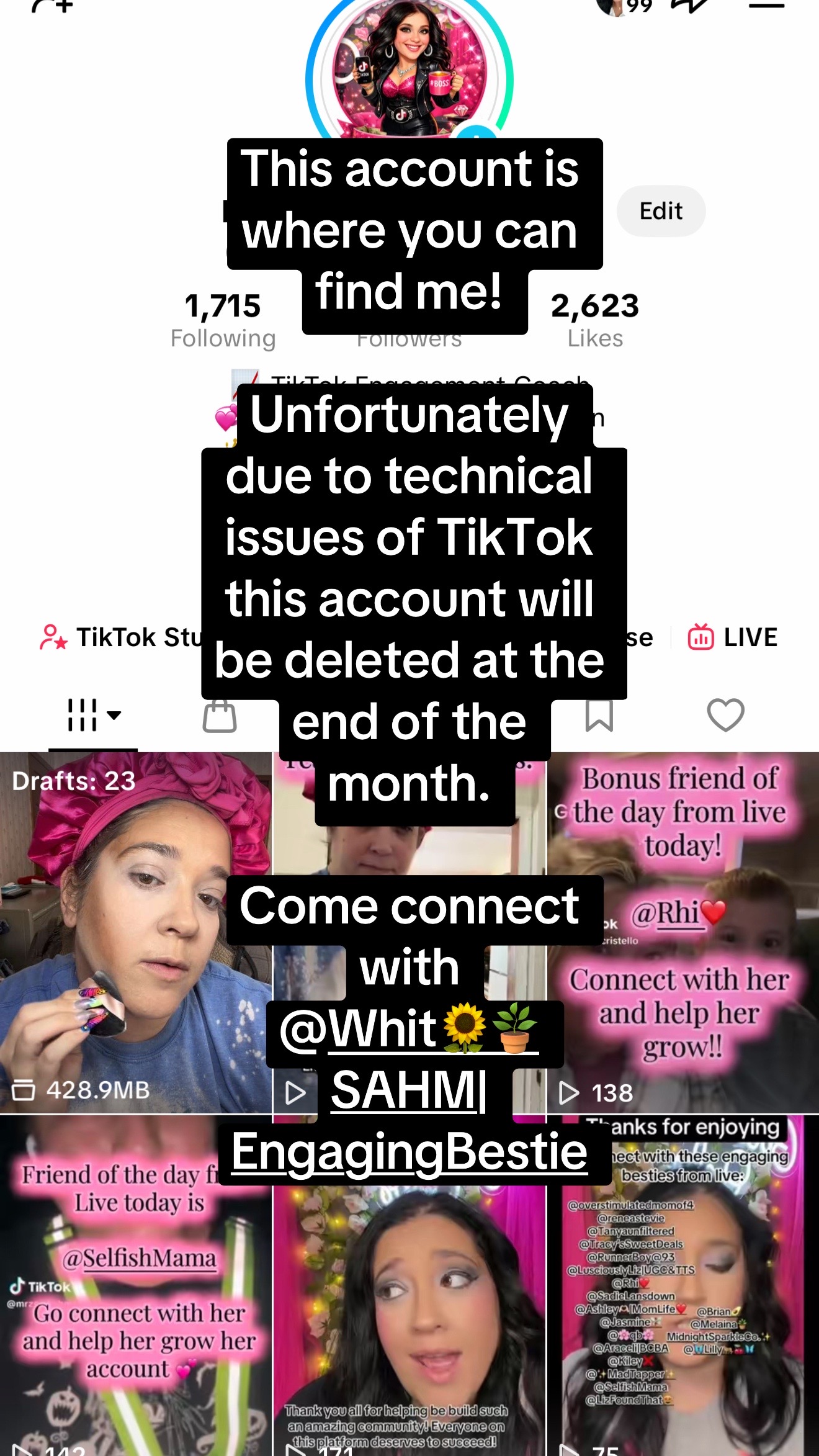 @whit🌻build,grow,monetize🪴