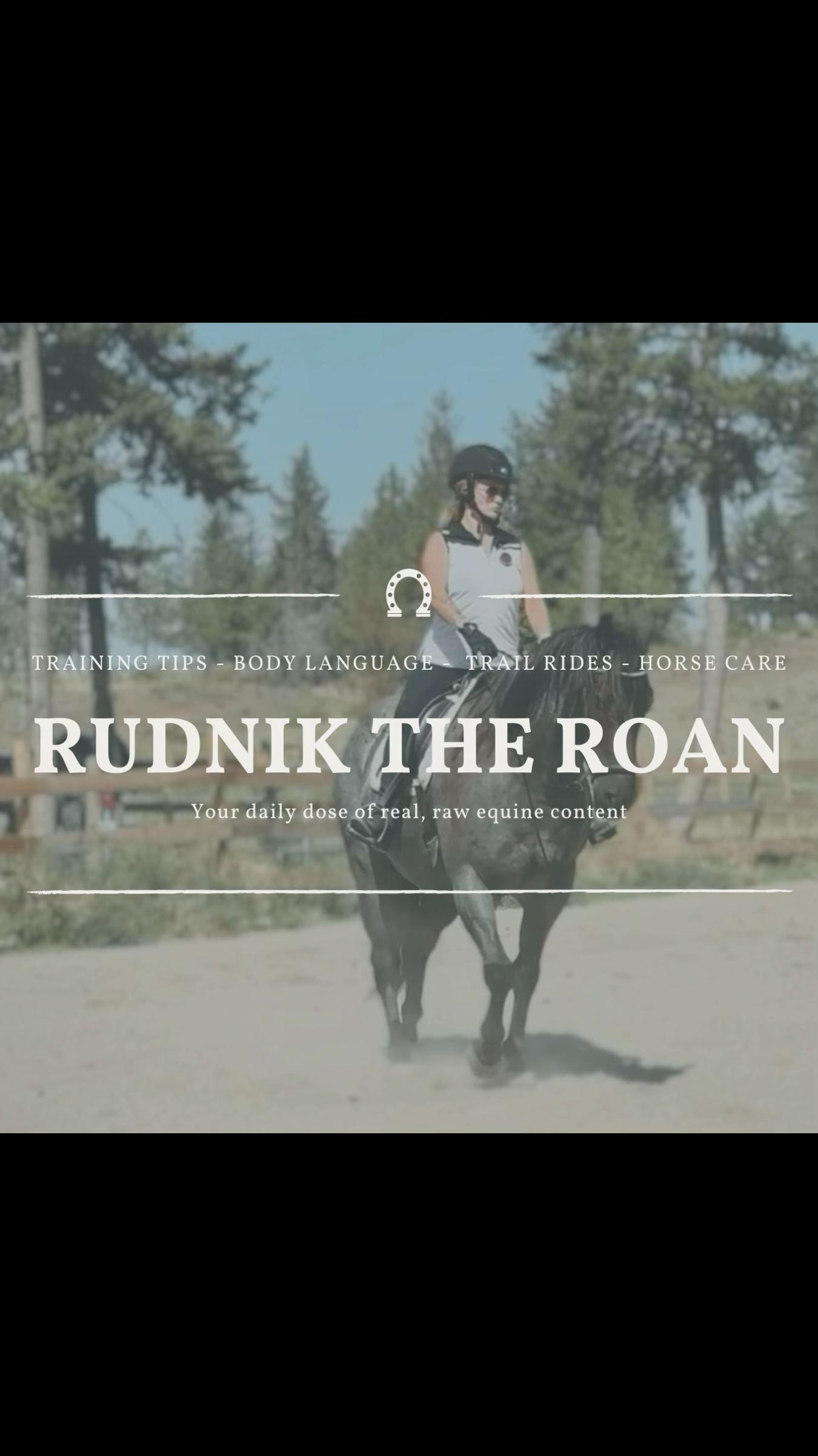 @Rudnik the Roan
