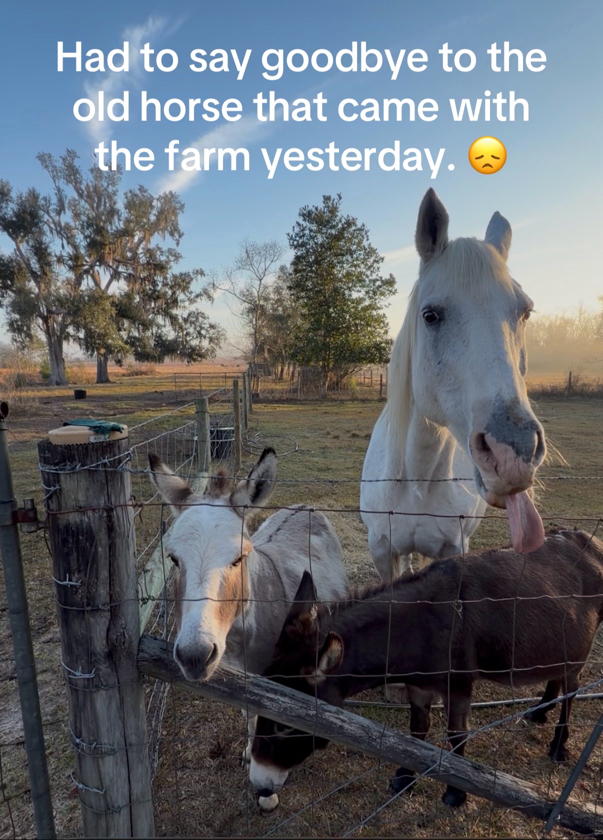@Kelley Farms