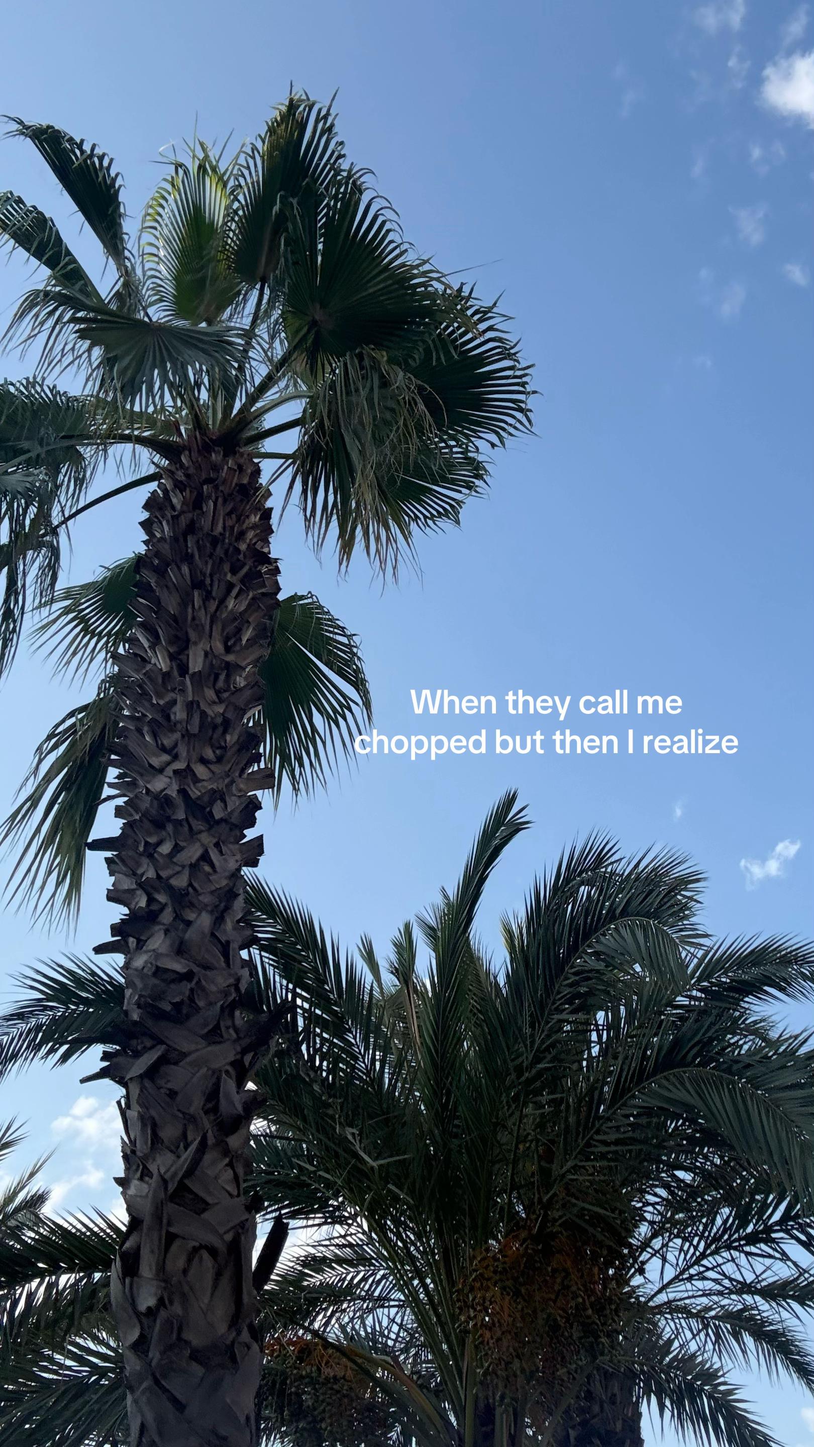 @𝐌 𝐈 𝐍 𝐄 𝐋