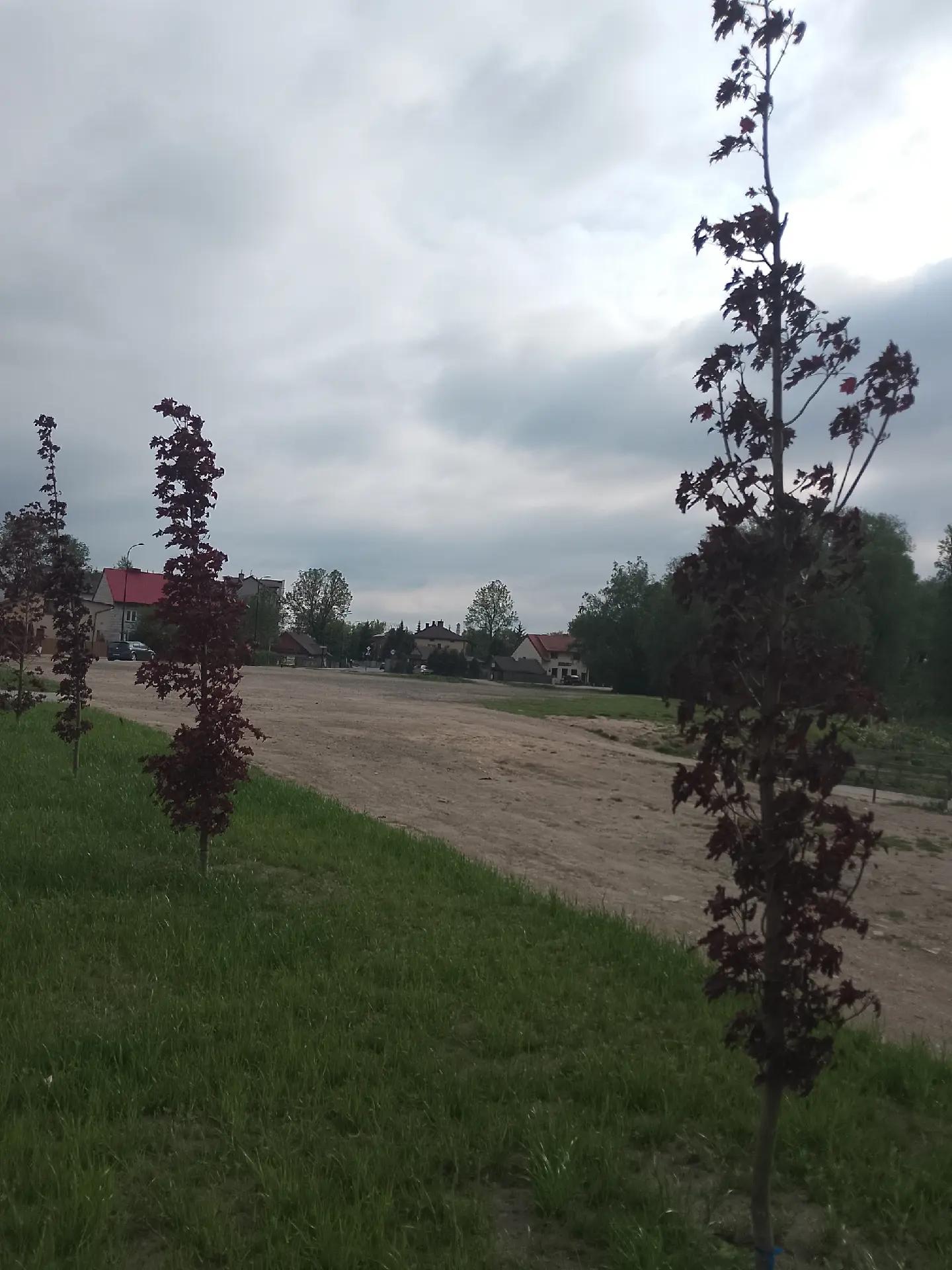 @пілігримІван Рябущиць