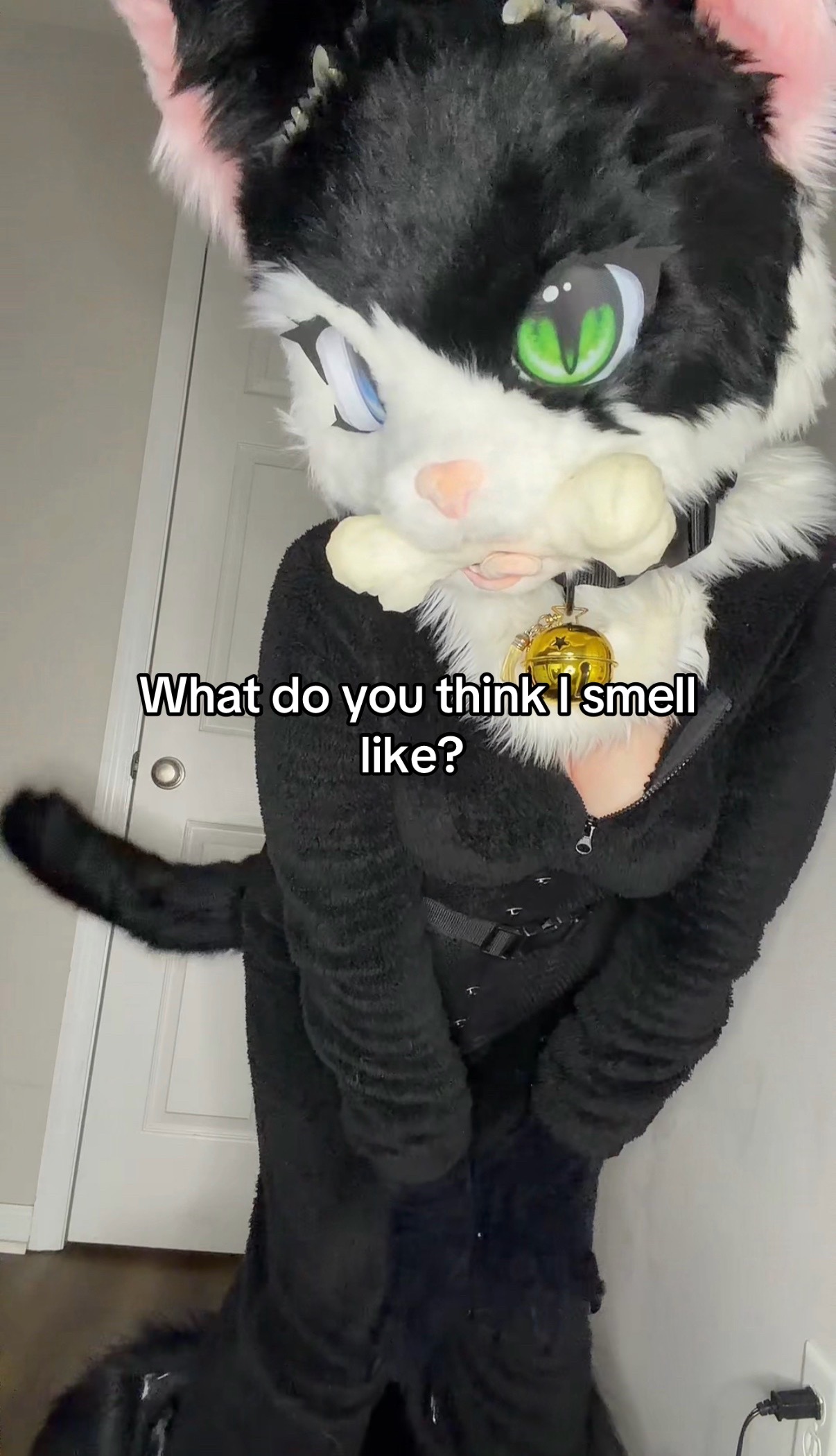 @Tifu 🔜 MFF