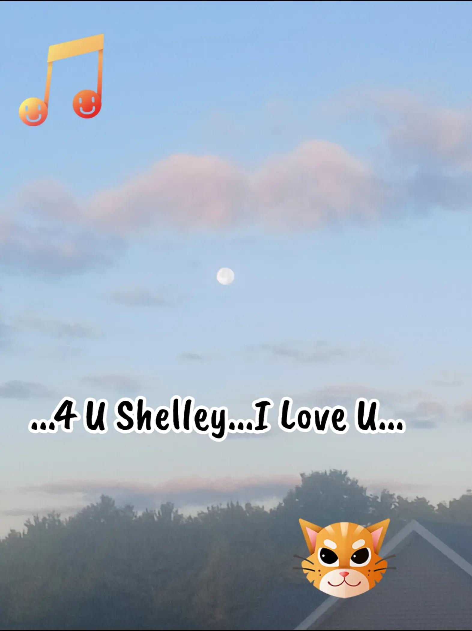 @Booh Hovey crazycatlady3