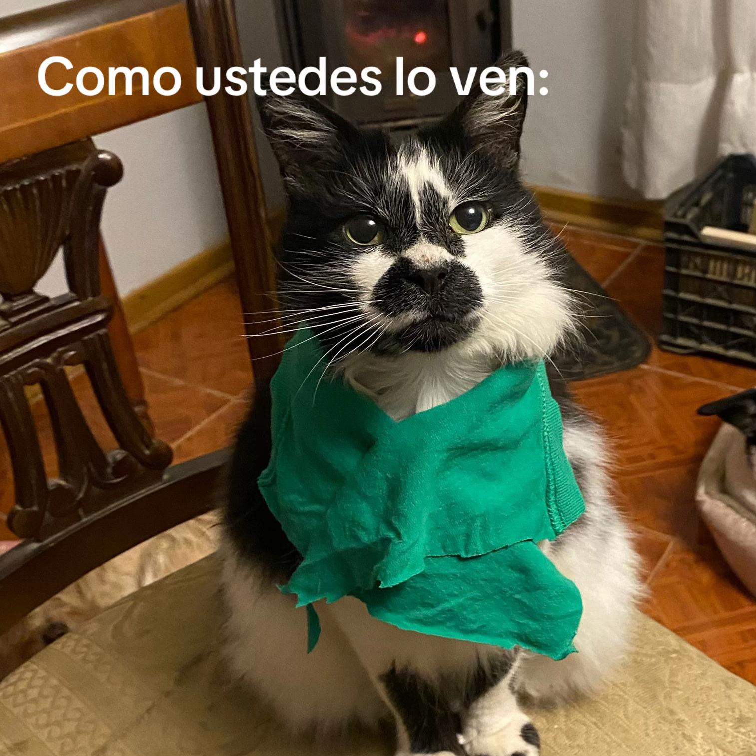 @Connie ౨ৎ