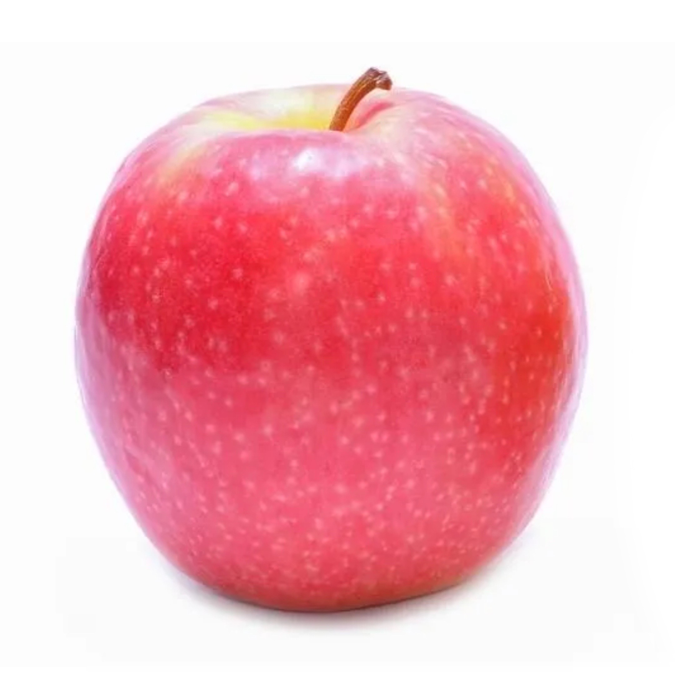 @apple for a brain