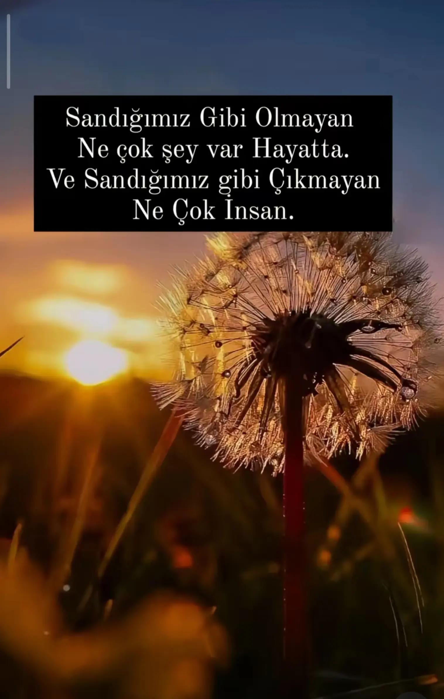 @🍀☀️⋆X⋆Ë⋆Ź⋆Ä⋆Ļ⋆☀️🍀