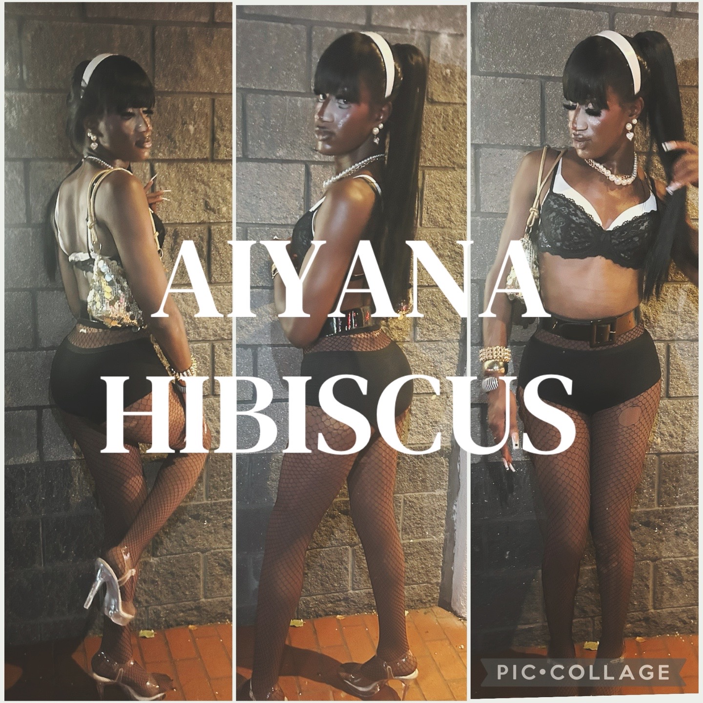 @Aiyana ๐บ Hibiscus