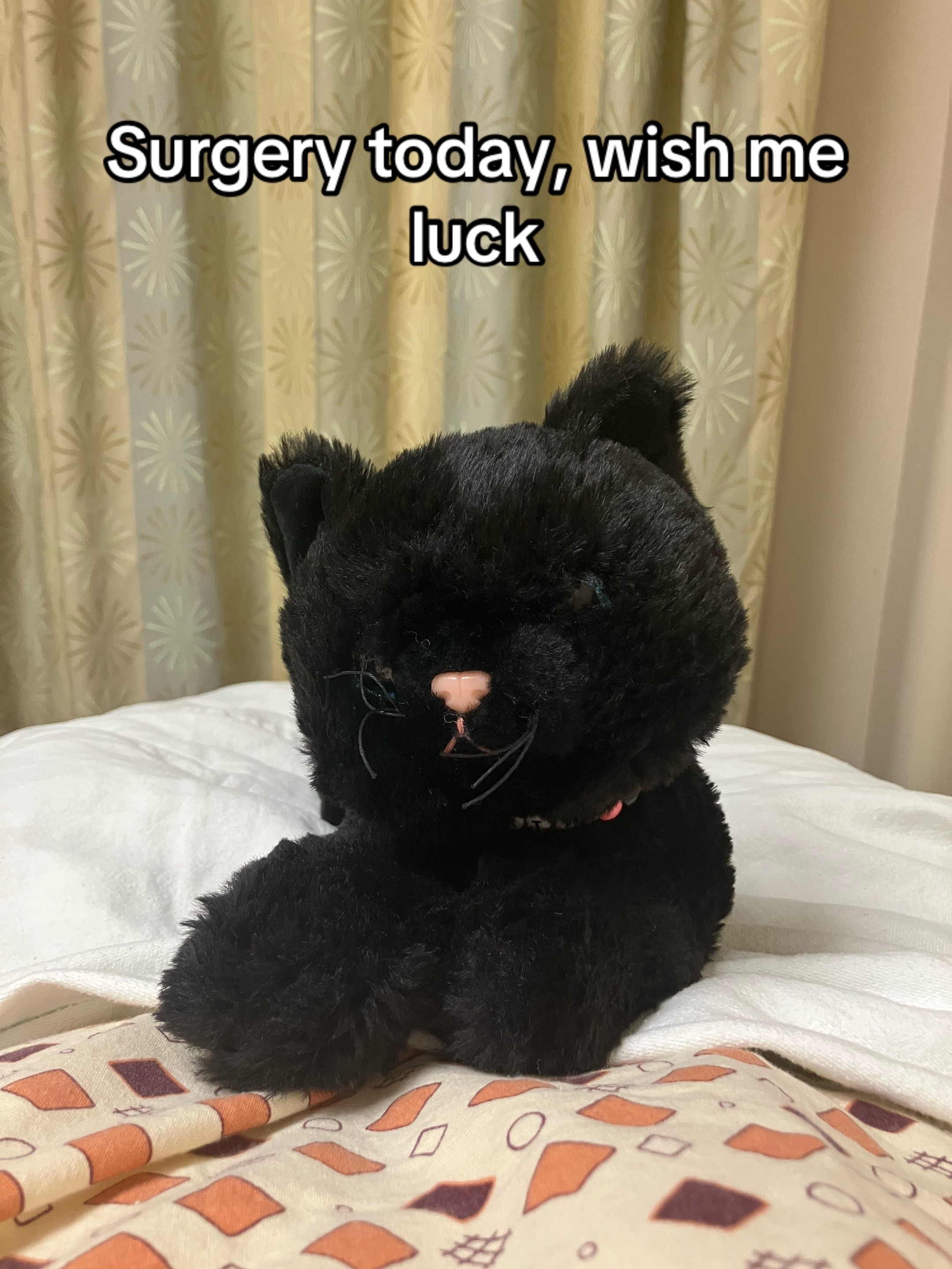 @๐๐Wolfie๐๐๐WWFC
