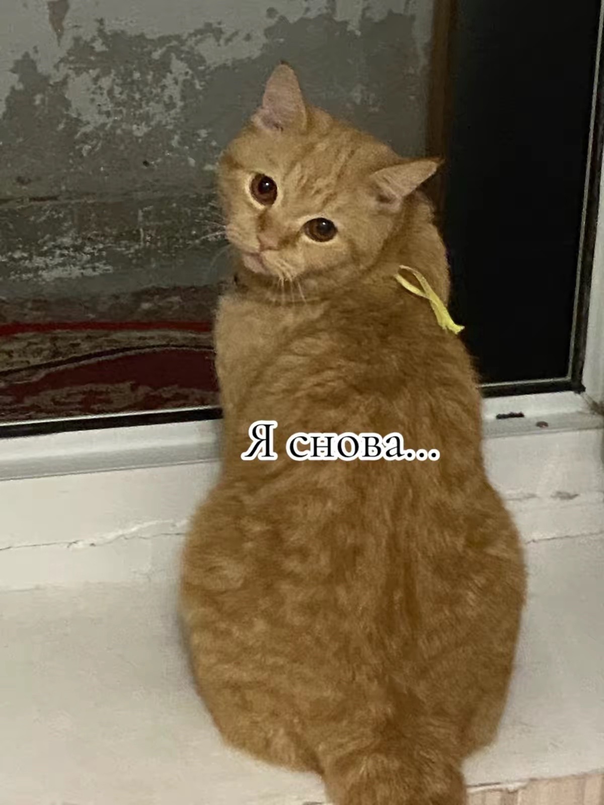 @#элиночка!💞