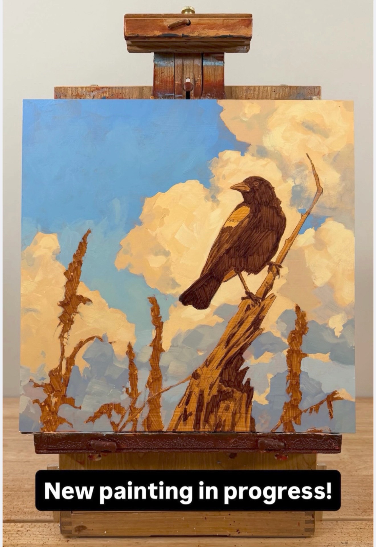 @Jim Musil Painter