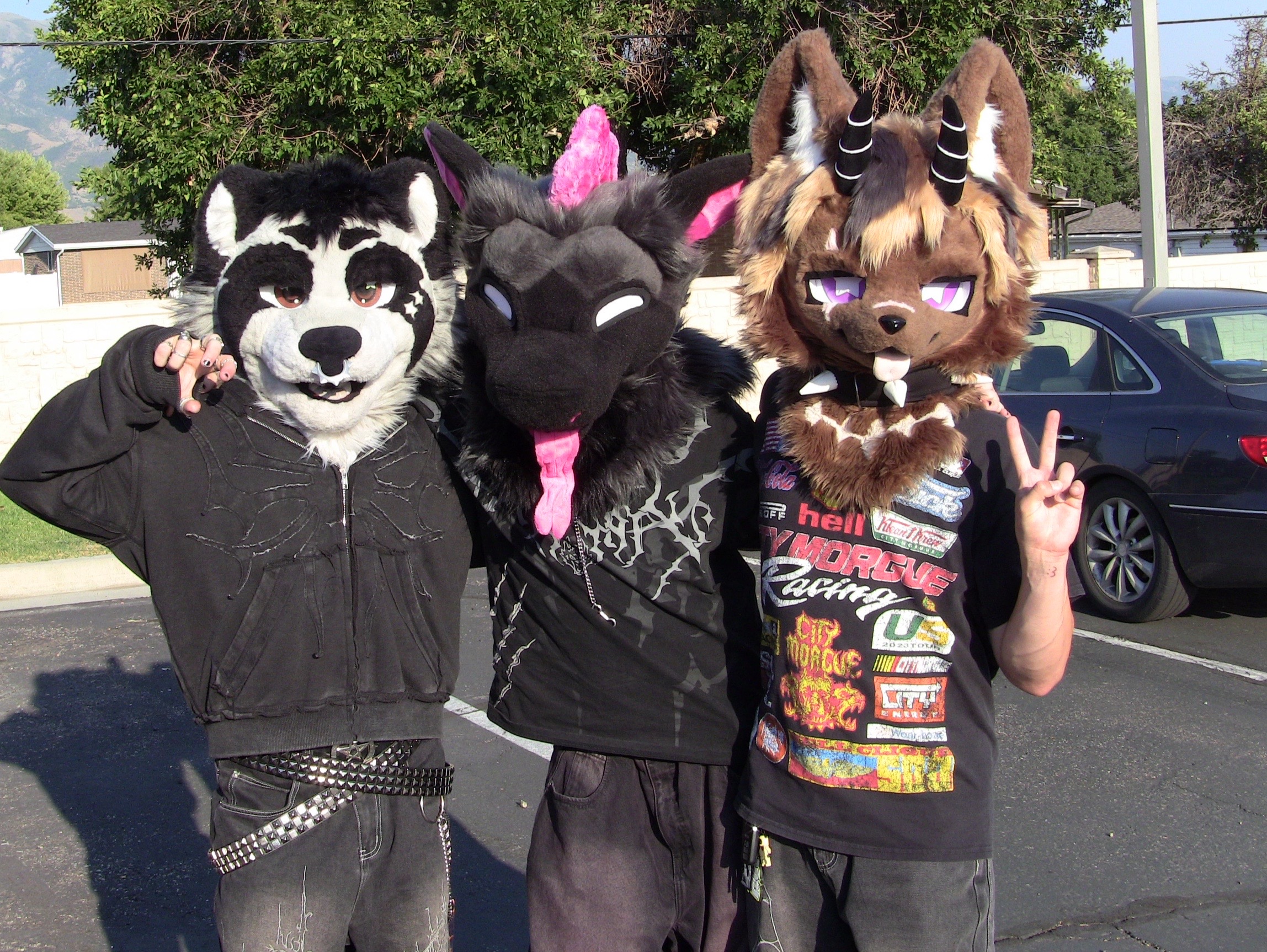 @pawbuttt🔜 MFF